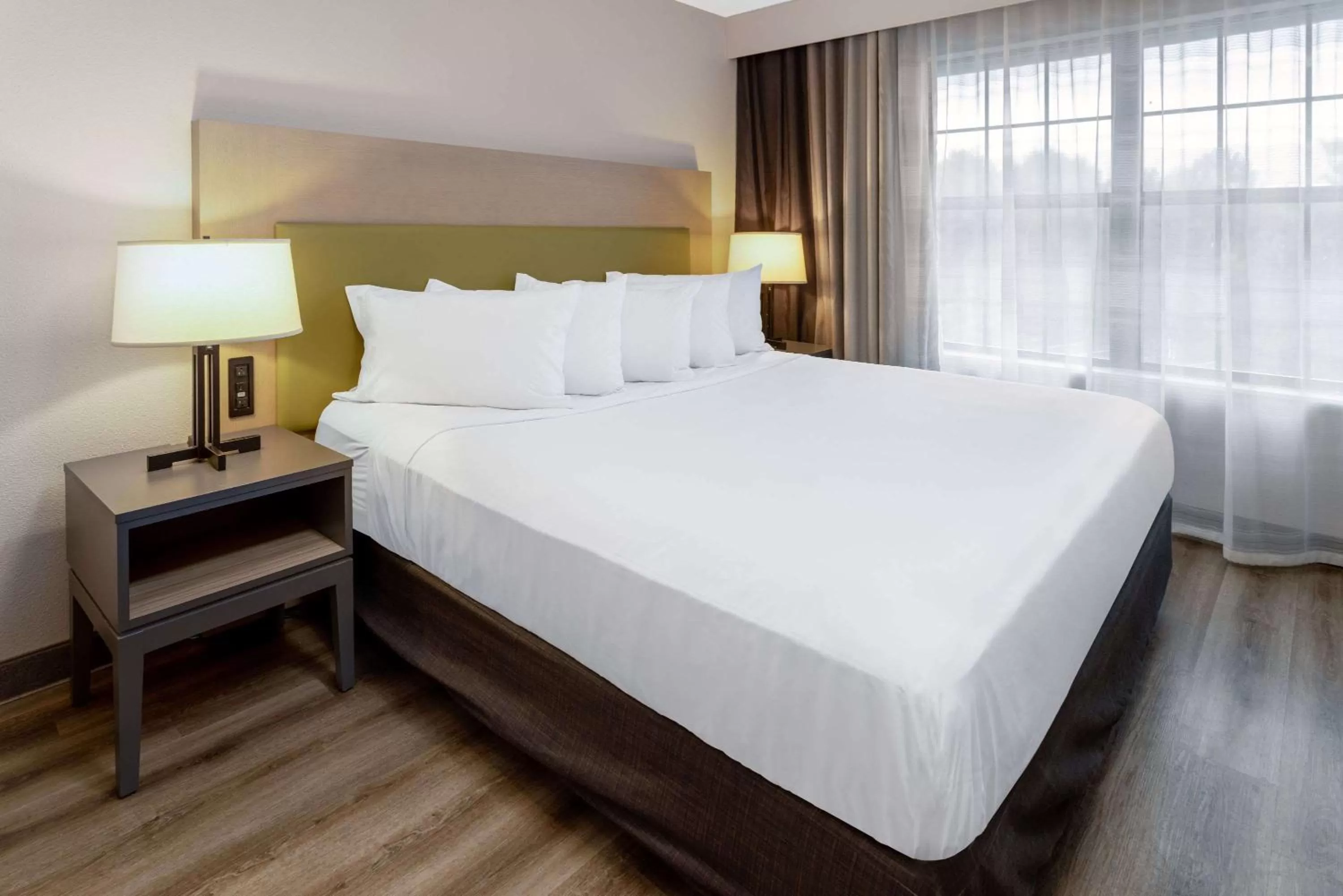 One-Bedroom King Suite - Non-Smoking in Country Inn & Suites by Radisson, Salisbury, MD