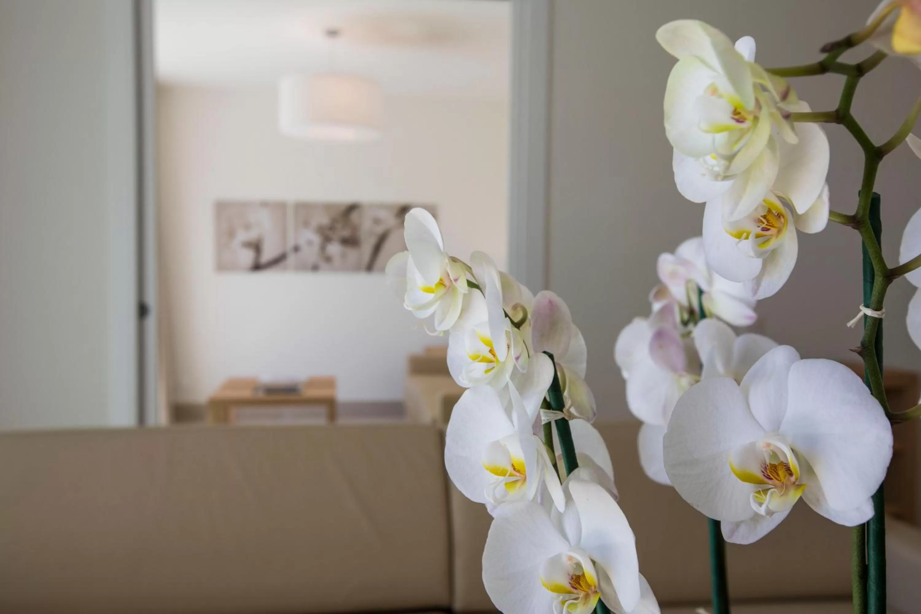 Kitchen or kitchenette in Delta Resort Apartments