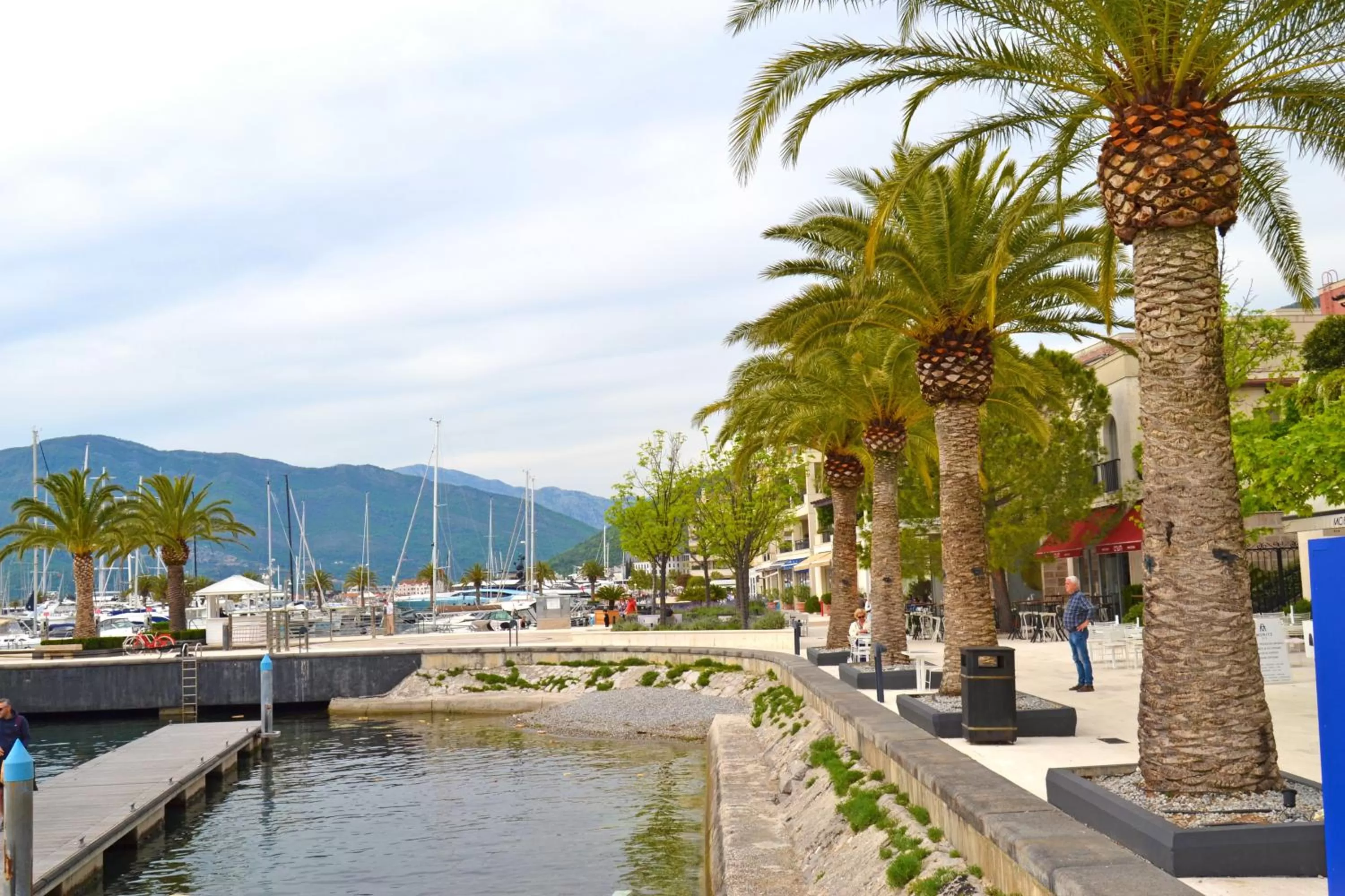 Neighbourhood, Swimming Pool in Tivat Apartments