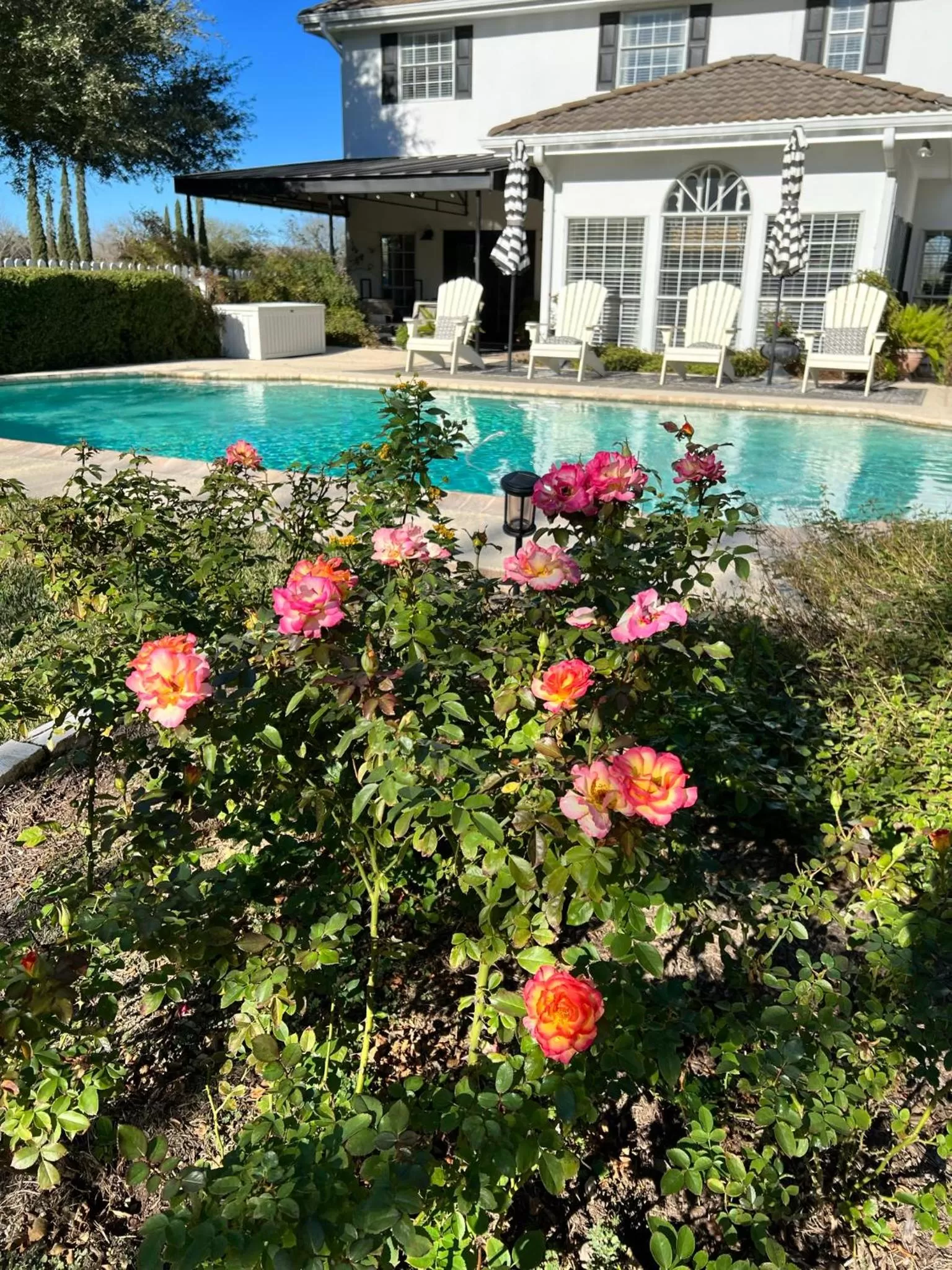 The Plantation House Boutique Inn