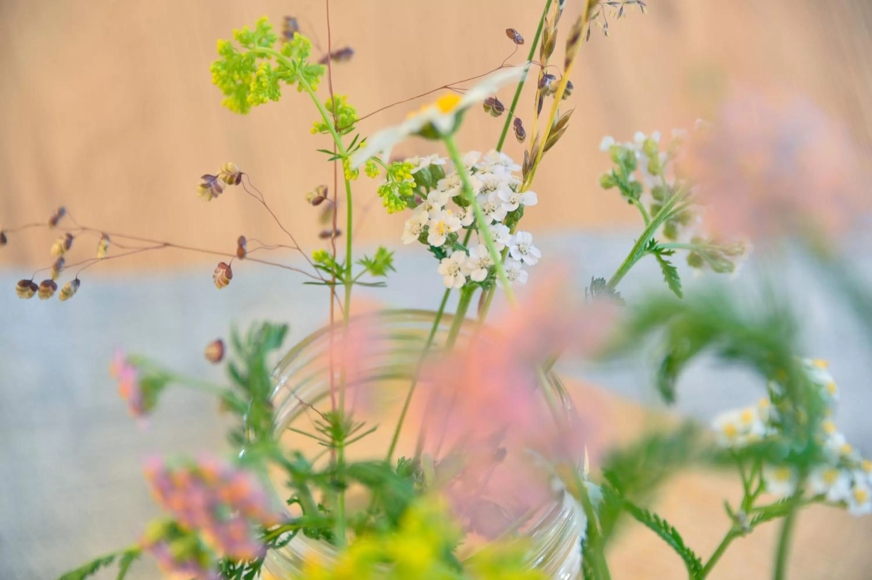 Lounge or bar in Hotel Diana