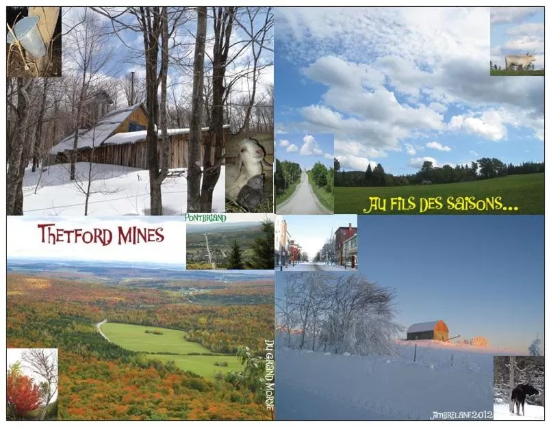Property Building in Le Gîte Ambrelane