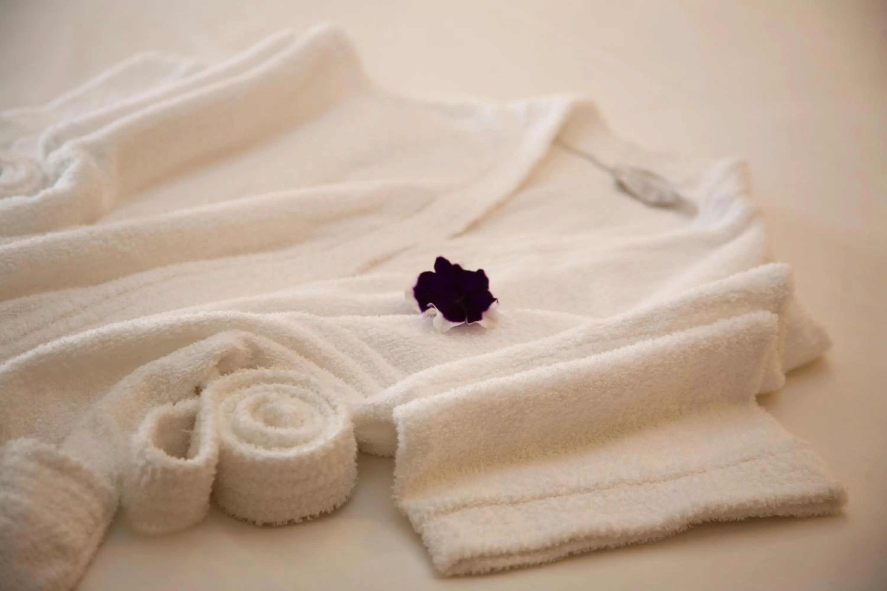 Spa and wellness centre/facilities in Premier Hotel The Richards