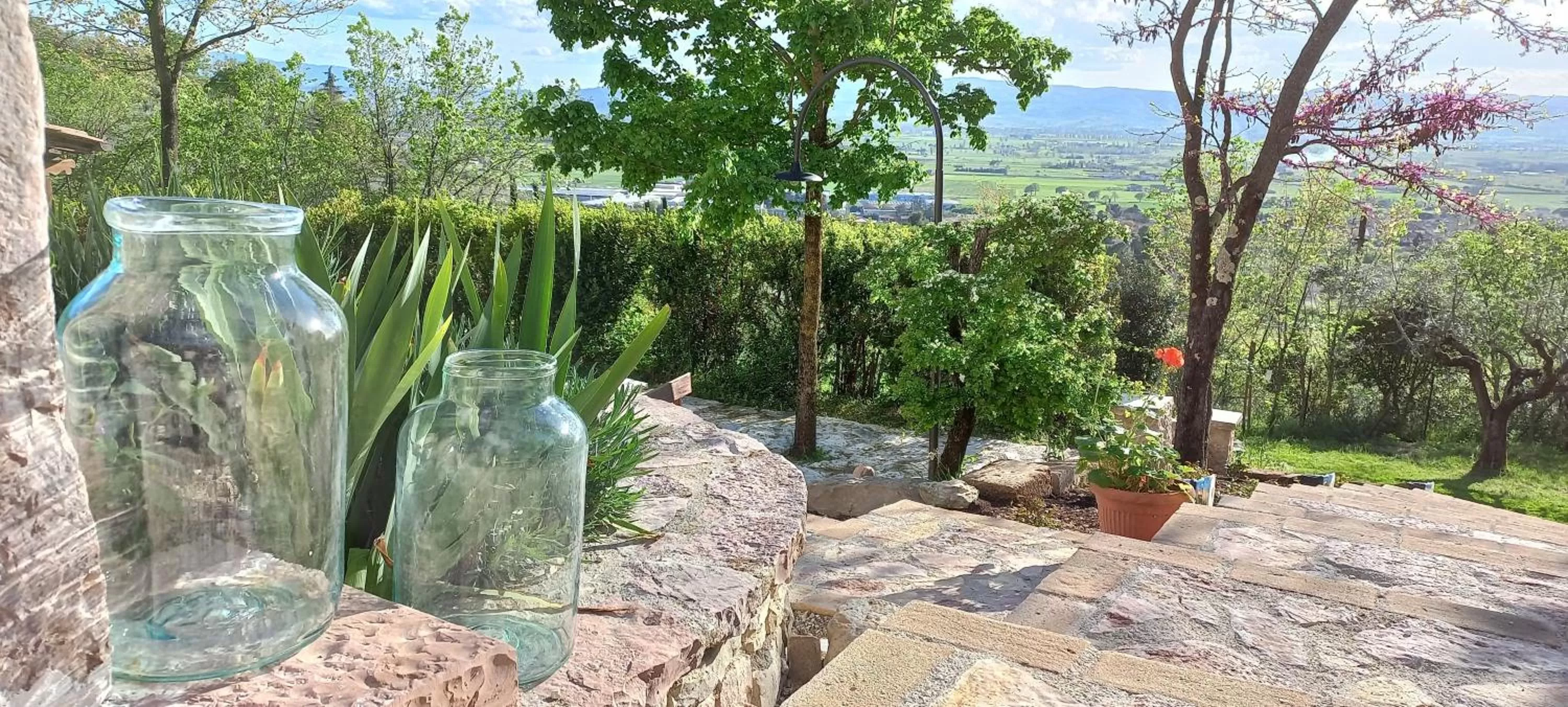 Domus Antiqua Bed & Breakfast