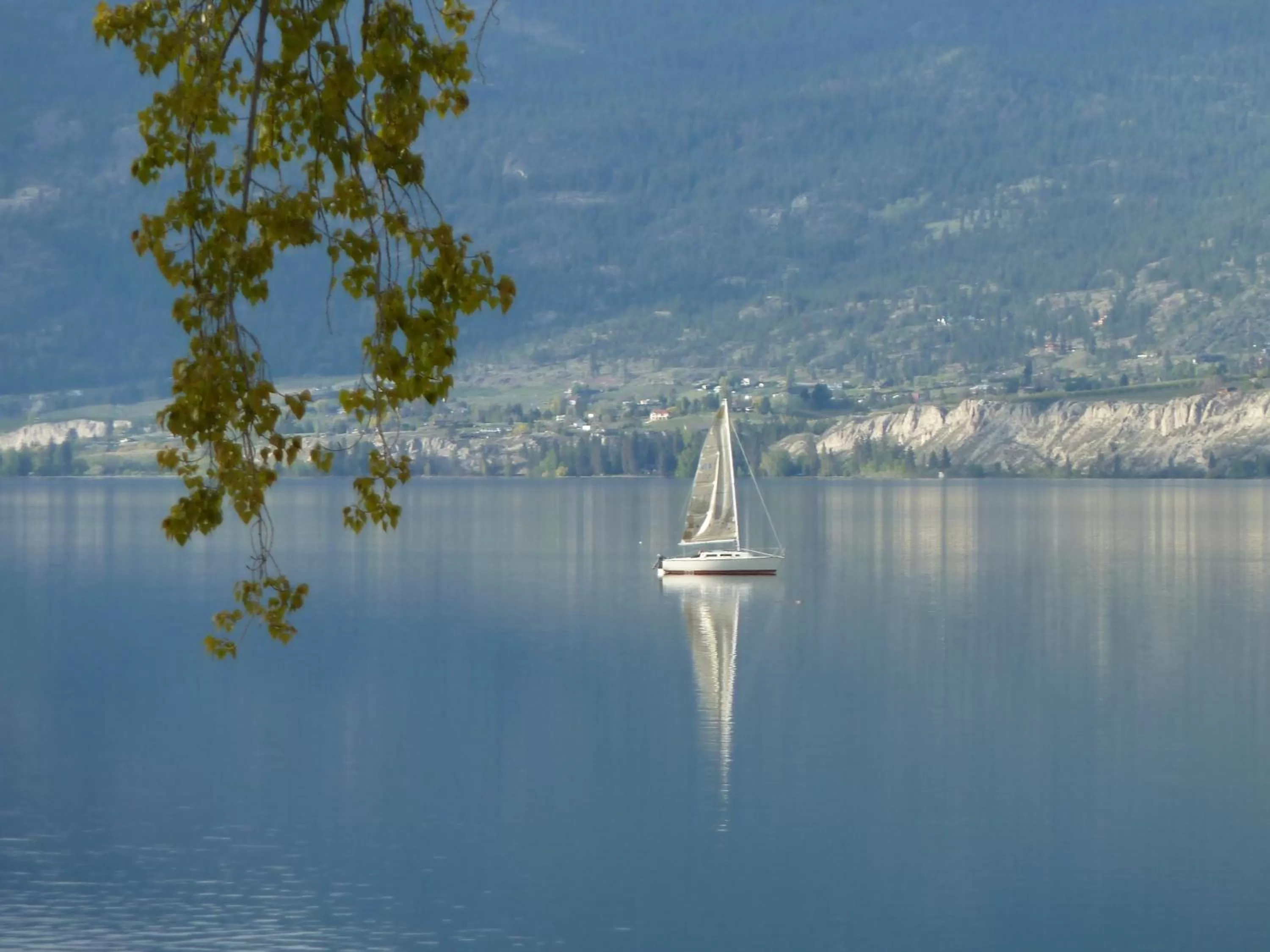 View (from property/room) in Casa Grande Inn & Suites