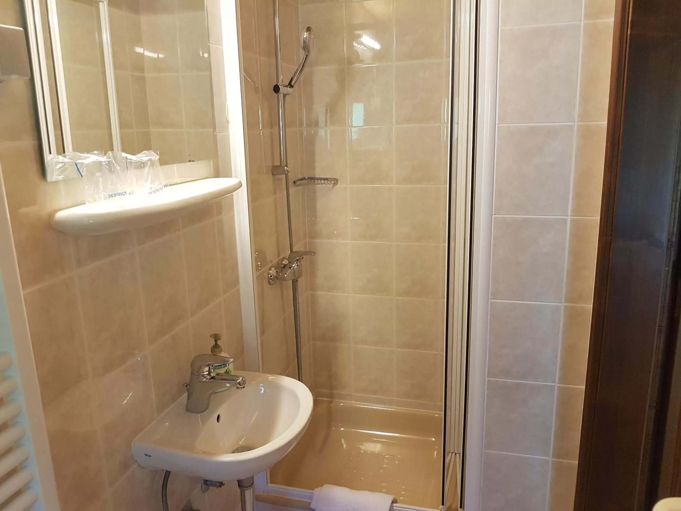 Economy Double Room with Forest View in Hotel Gasperin Bohinj