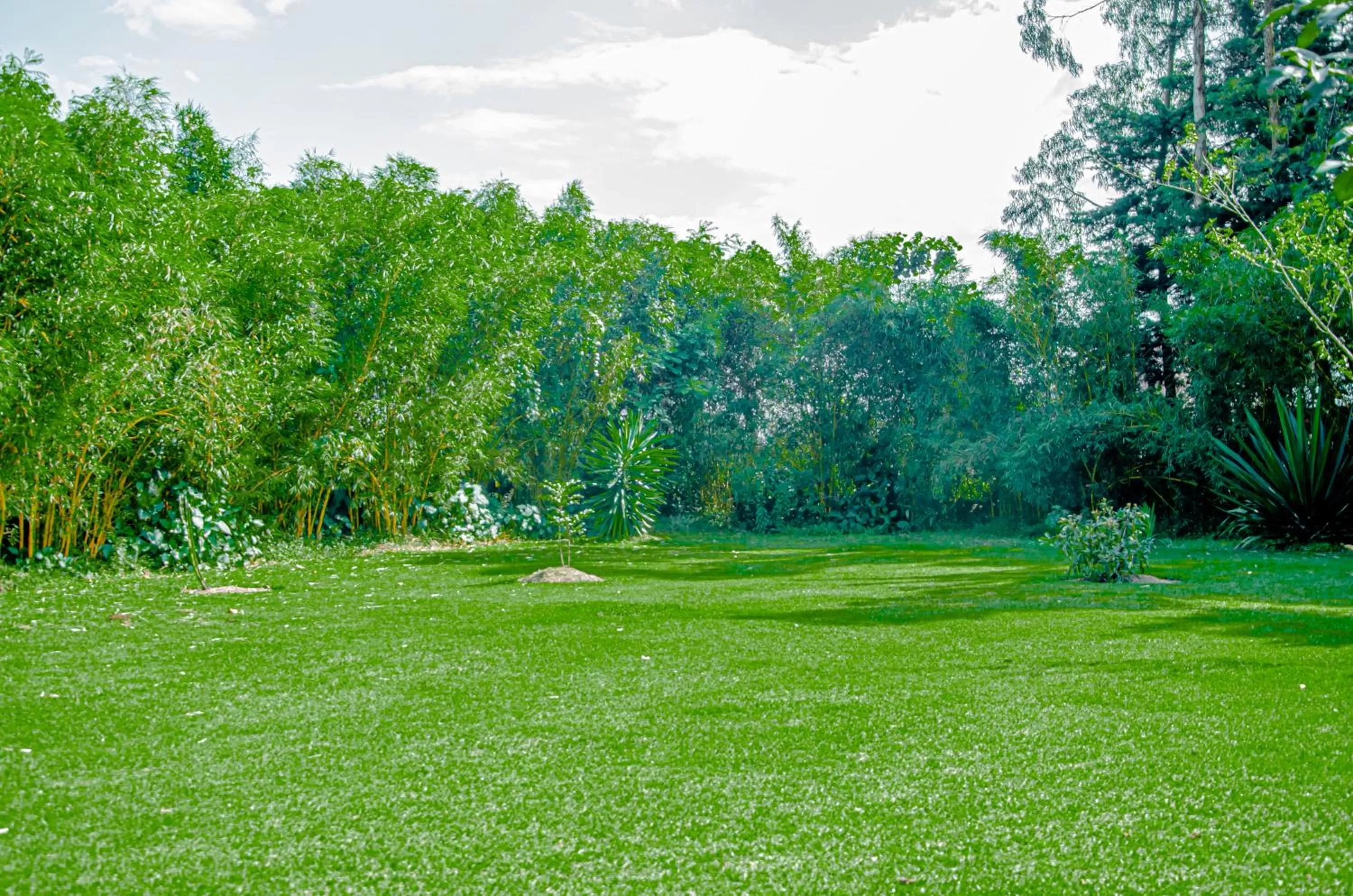 Garden in Fravan Eco Resort By Apogee