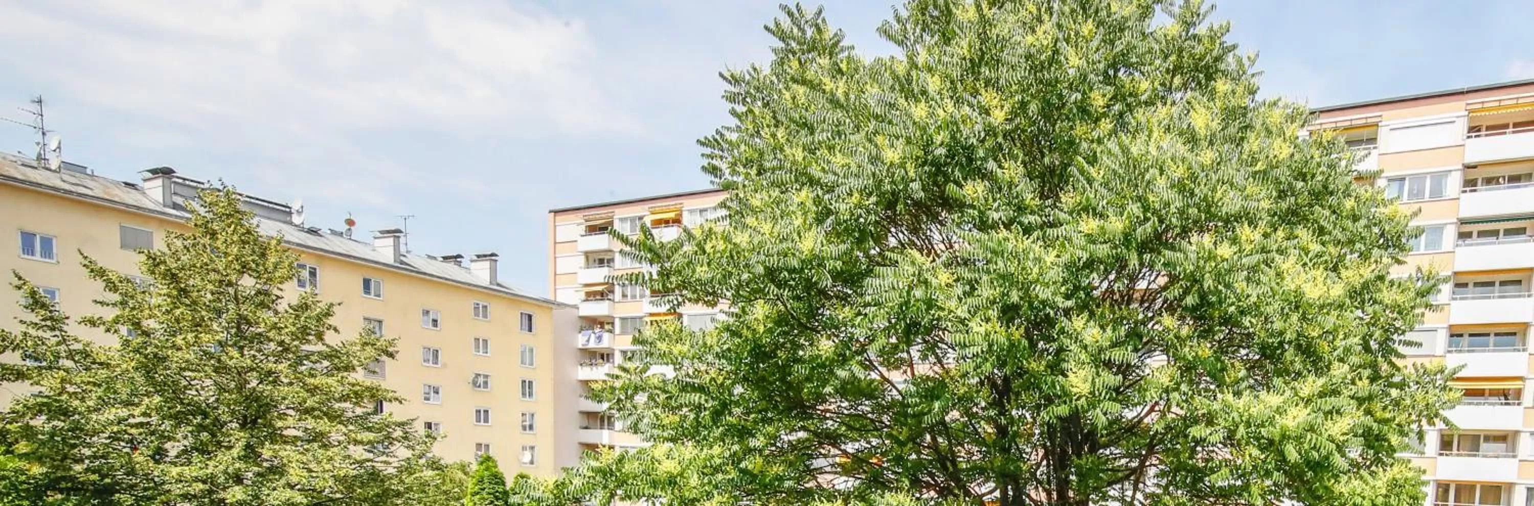 Double Room in Hotel Lehenerhof