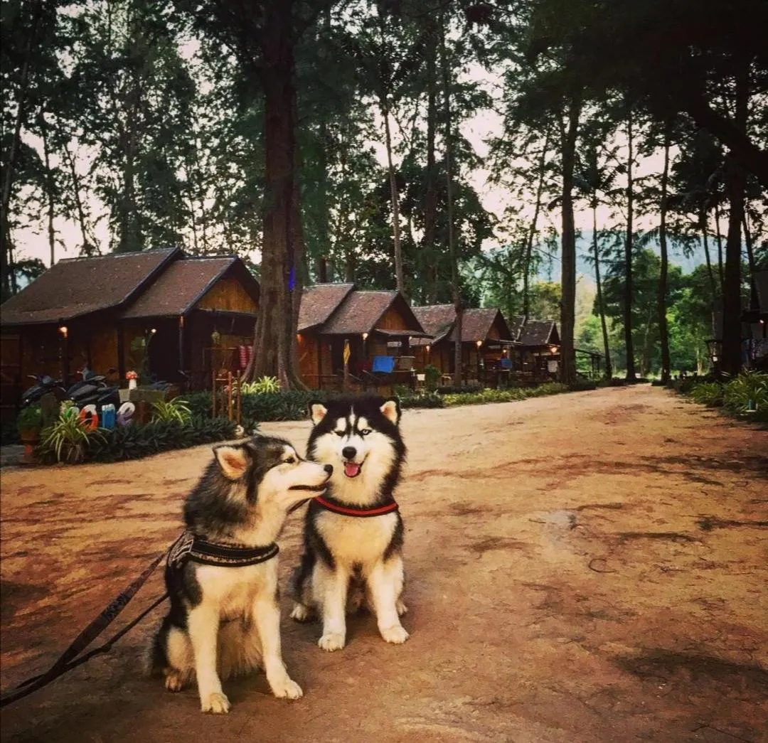 Natural landscape in Eco Lanta Hideaway Beach Resort