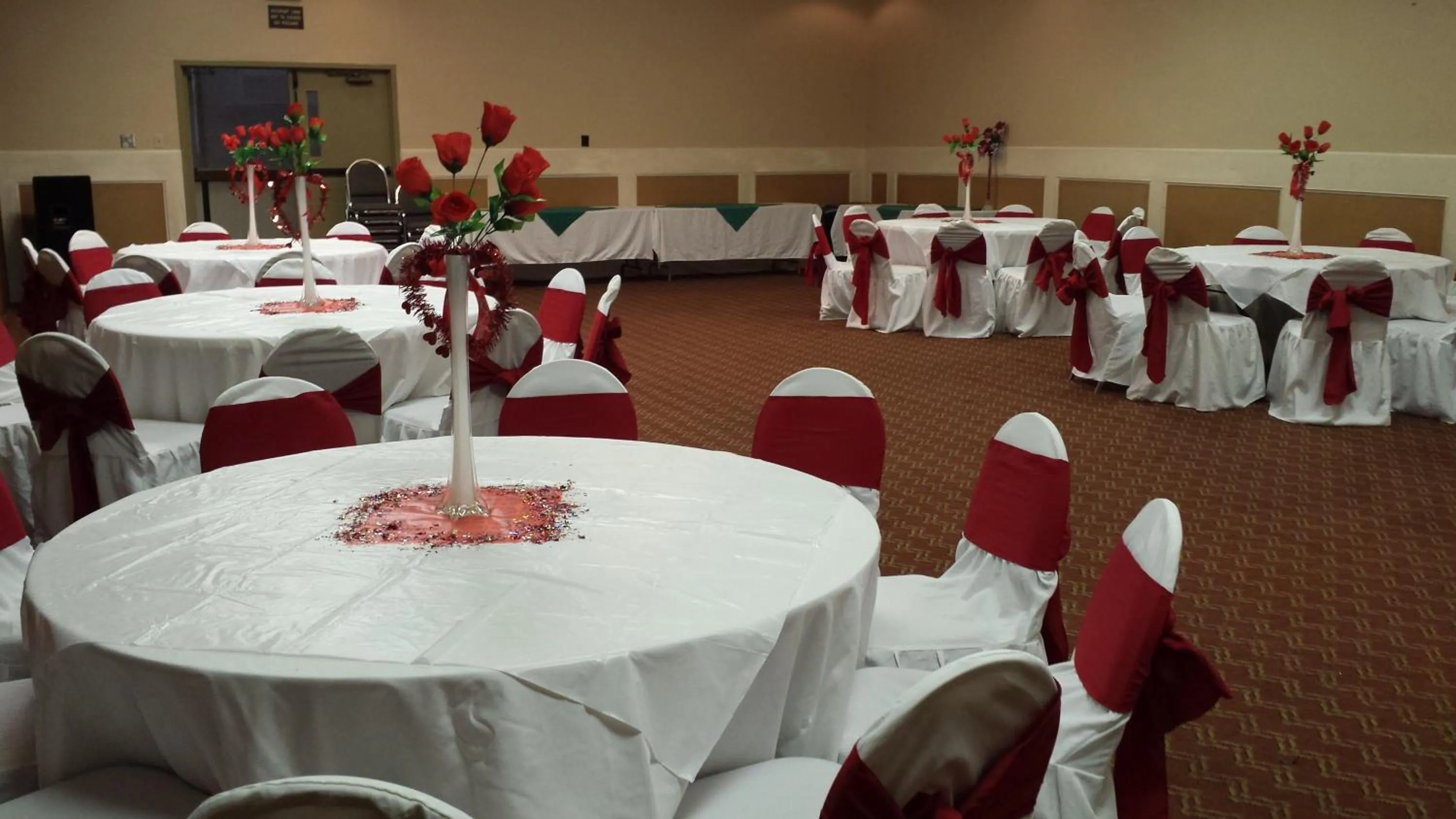 Banquet/Function facilities in Romana Hotel - Houston Southwest