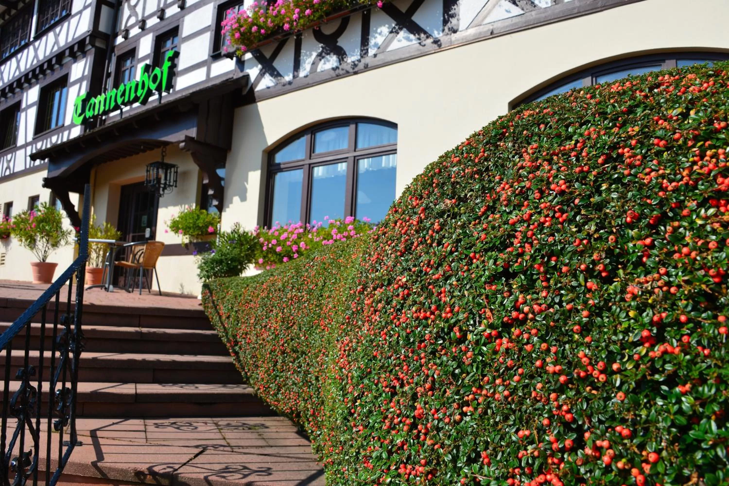 Property building in RelaxHotel Tannenhof