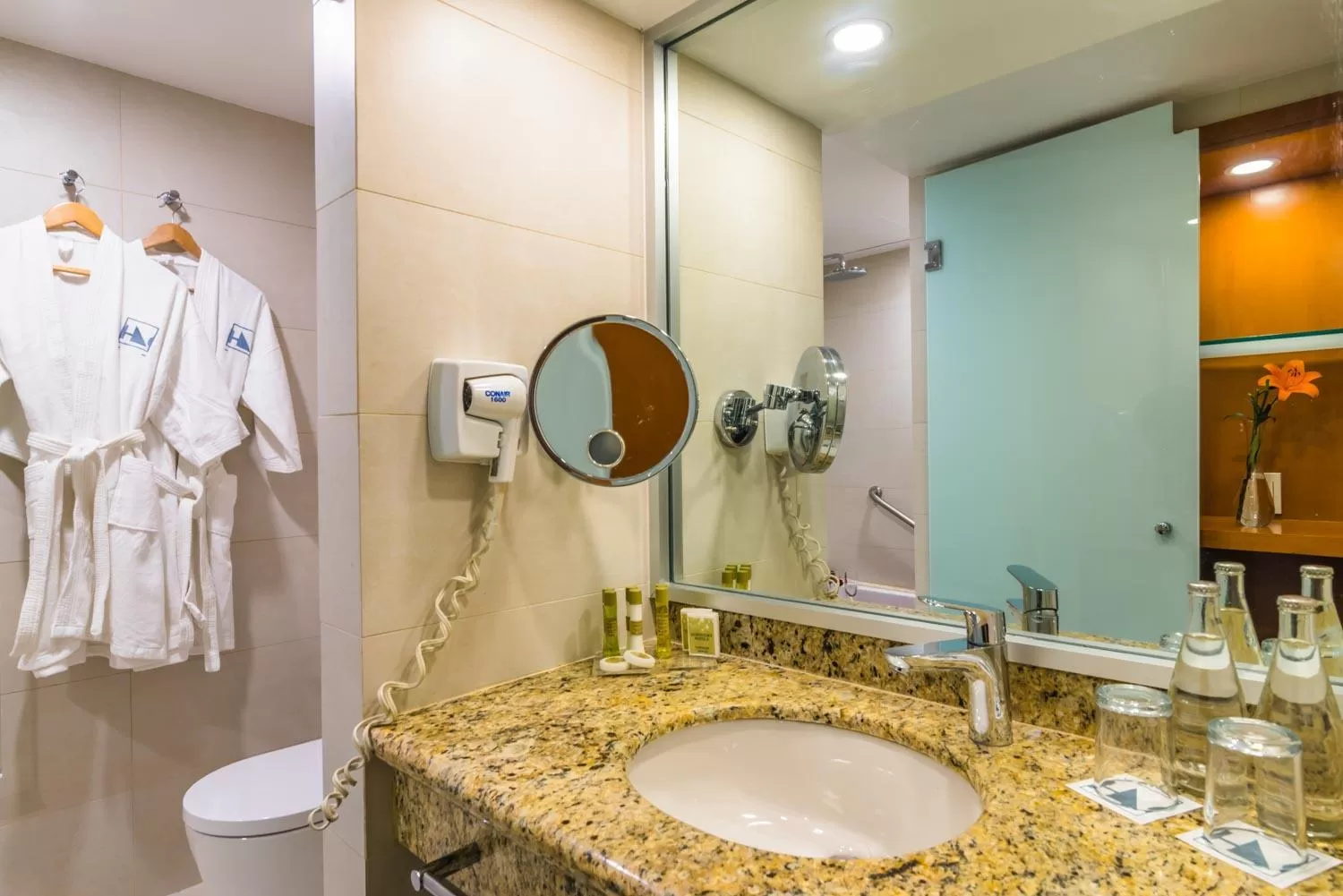 Toilet in Eurostars Zona Rosa Suites