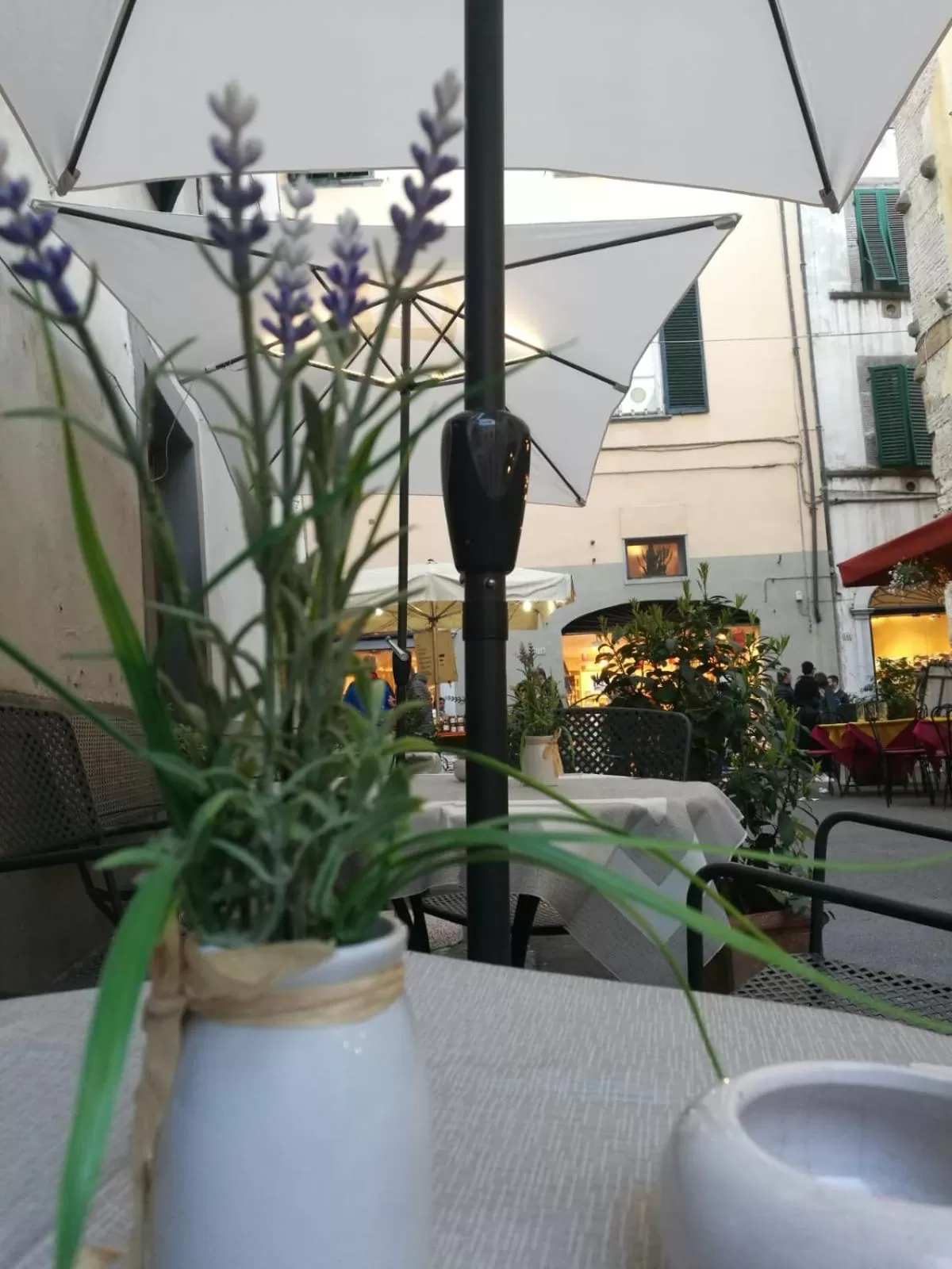 Spring in Hotel La Luna