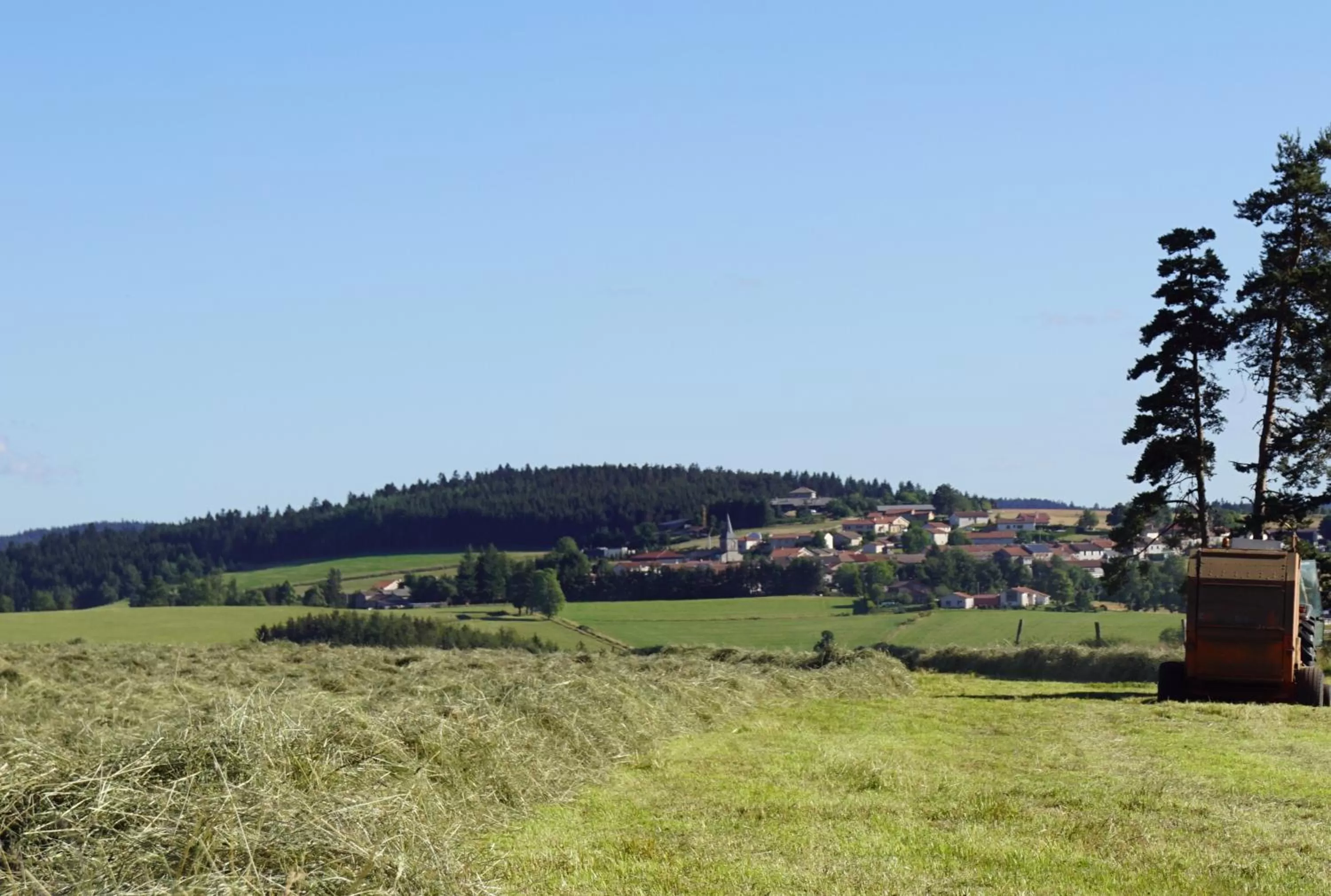 Natural landscape in Auberge des Myrtilles