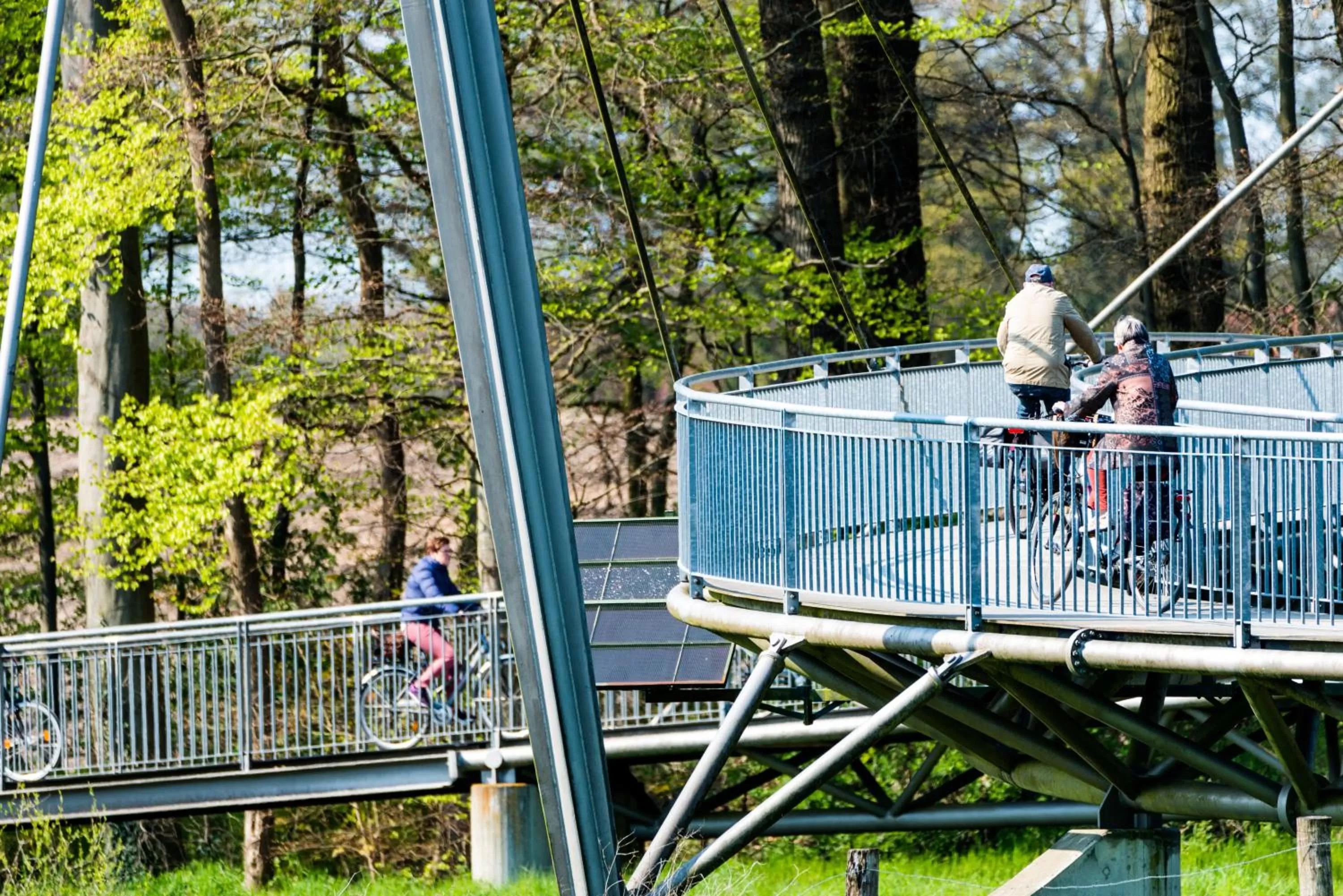 Natural landscape in Waldhotel Schipp-Hummert