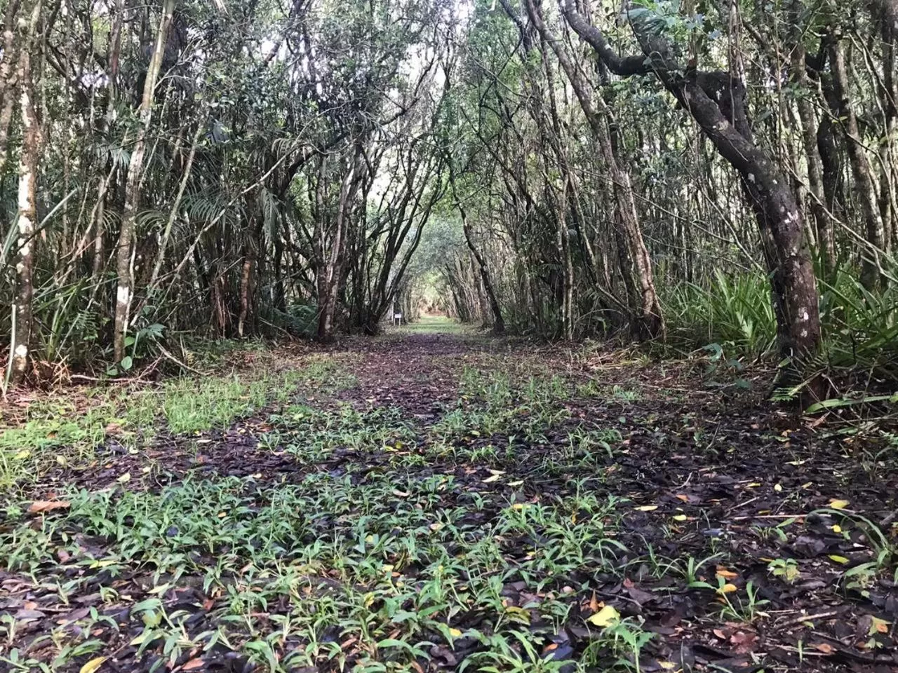 Hiking in Pousada Dunasol Floripa
