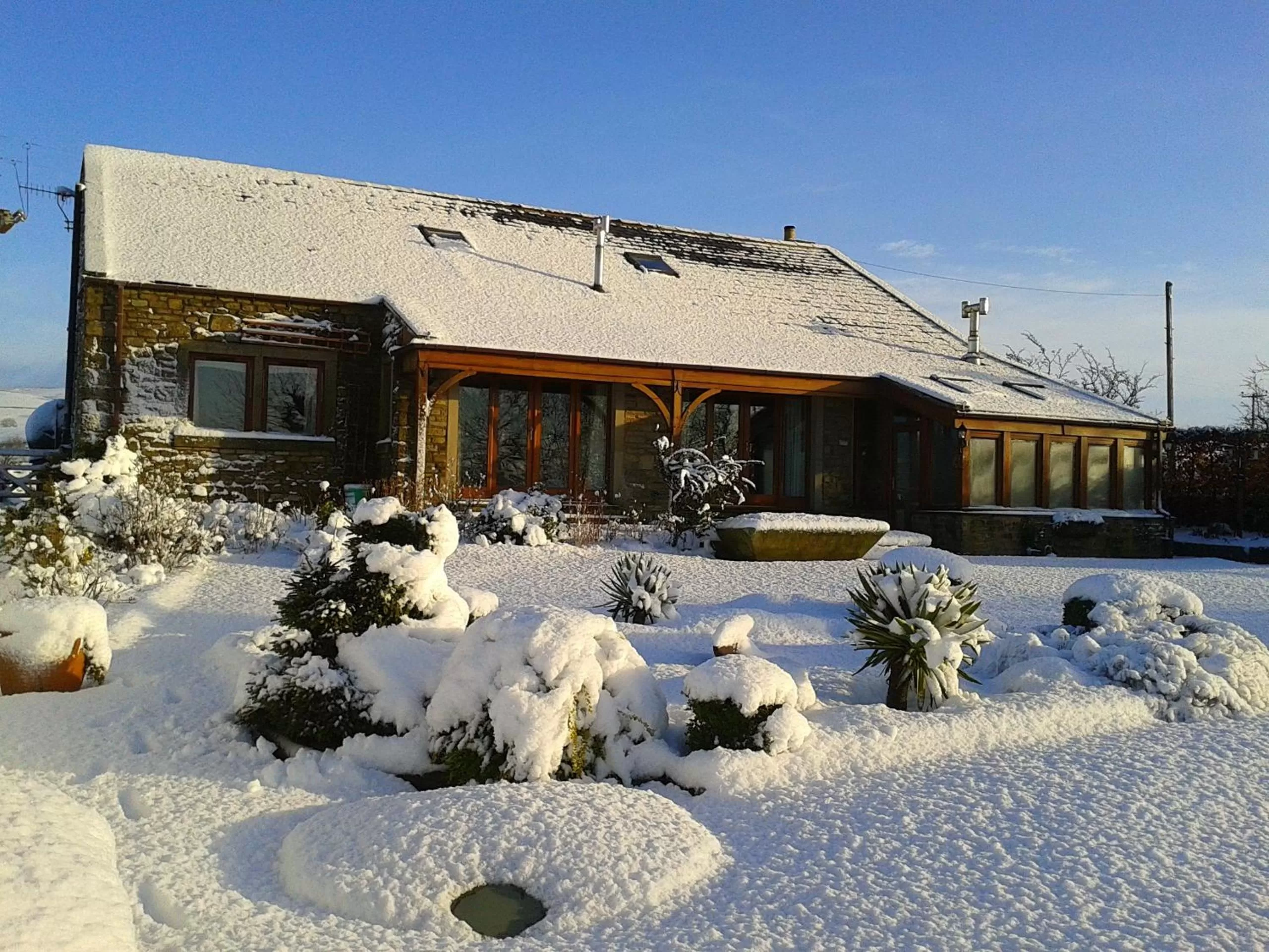 Garden, Winter in Moor View