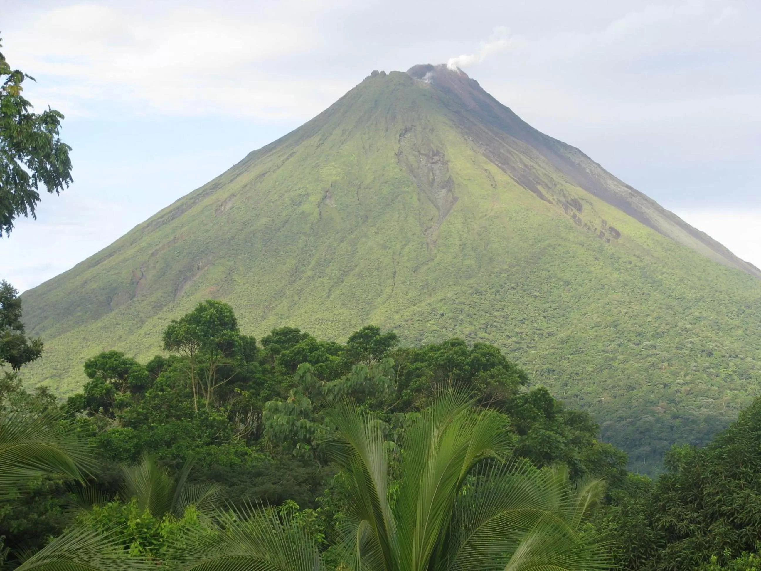 View (from property/room) in Hotel Monte Real