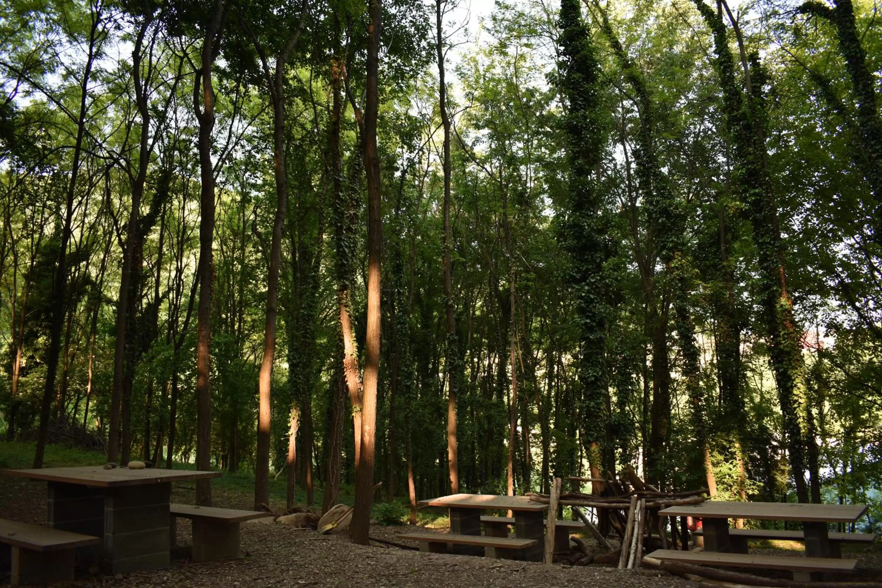 Garden in Aldeia Bianca Village