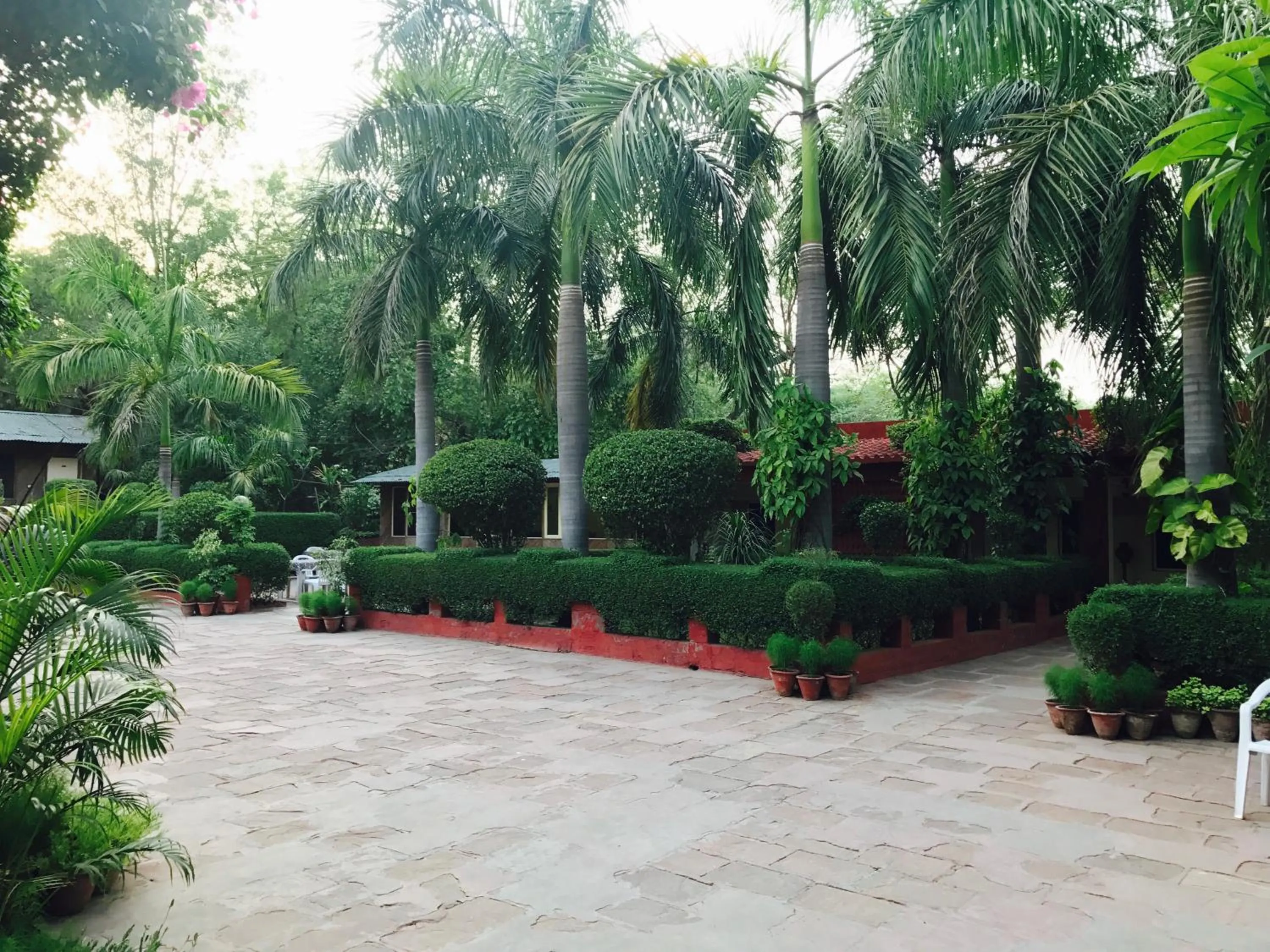 Garden view in Hotel Sheela, 100m from Taj Mahal