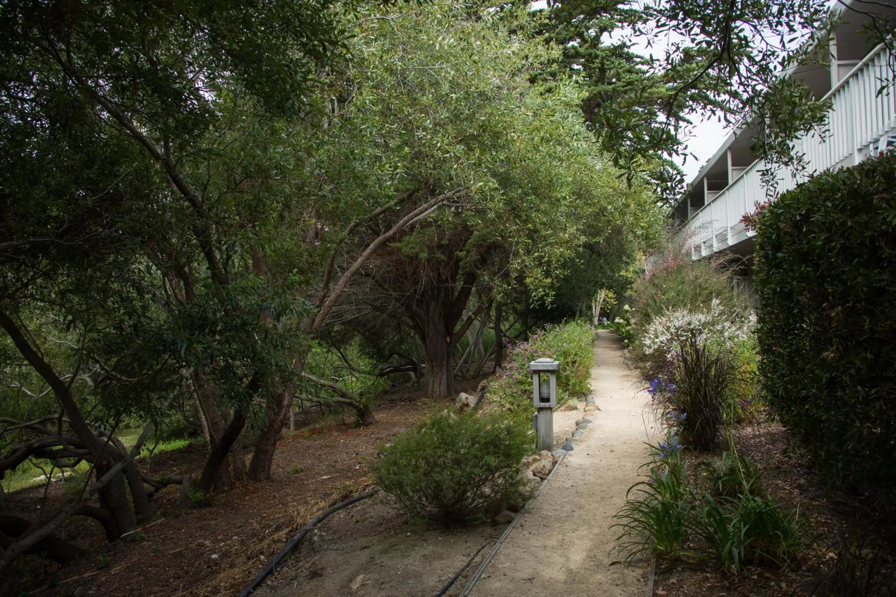 Other in Carmel River Inn & Cottages