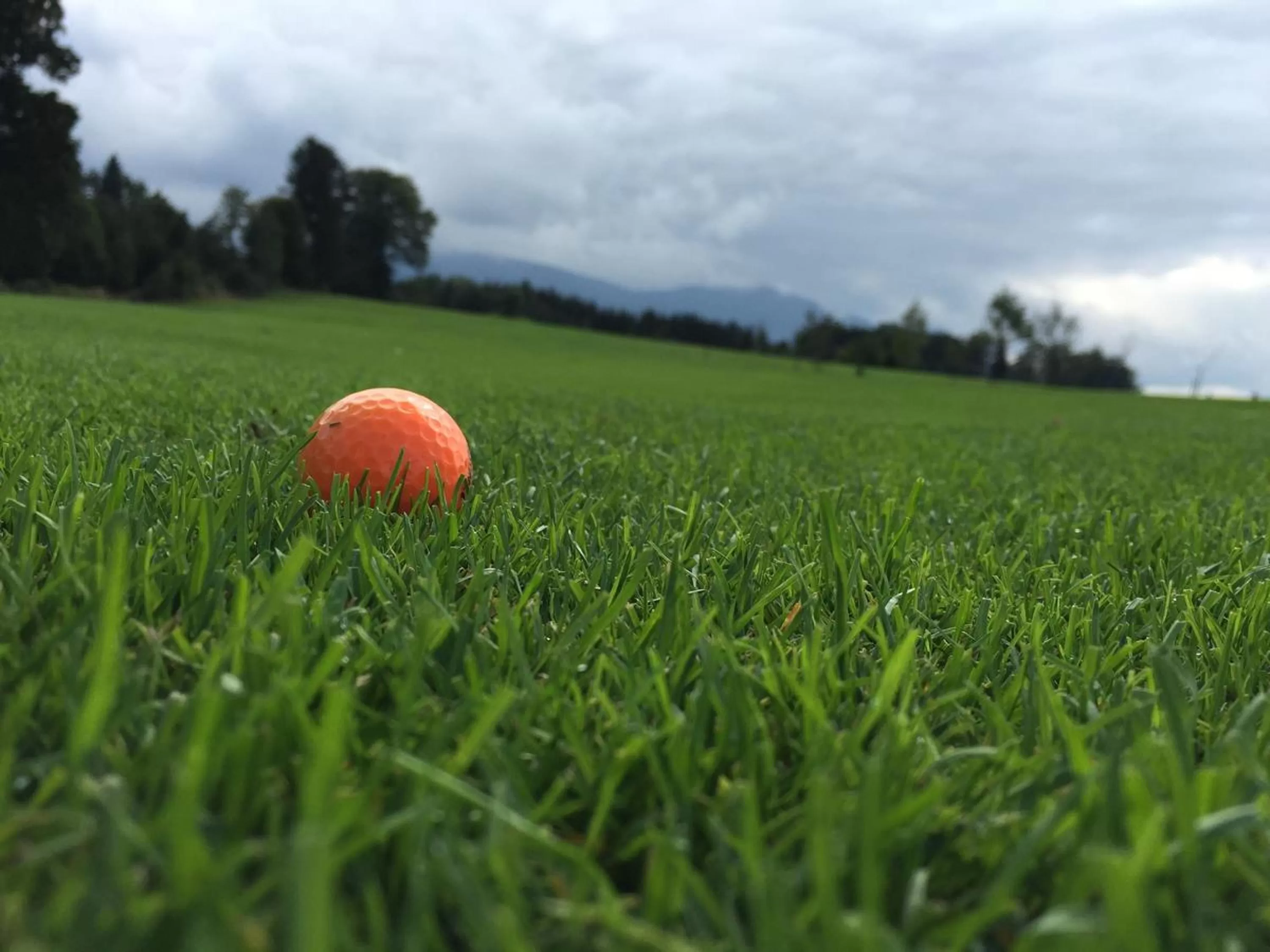 Golfcourse in Hotel Alpenblick