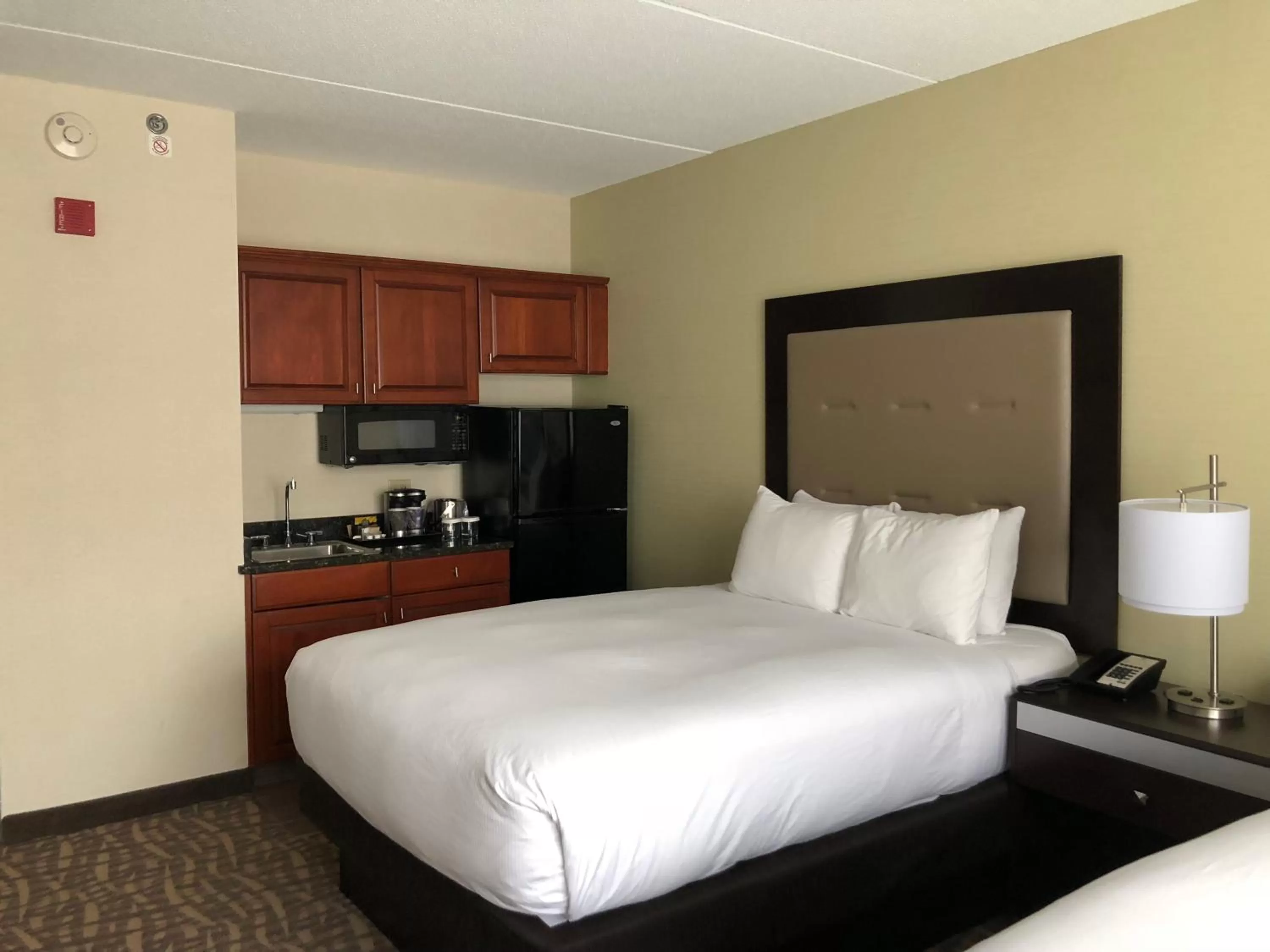 Photo of the whole room, Bed in Wyndham Garden Buffalo Downtown