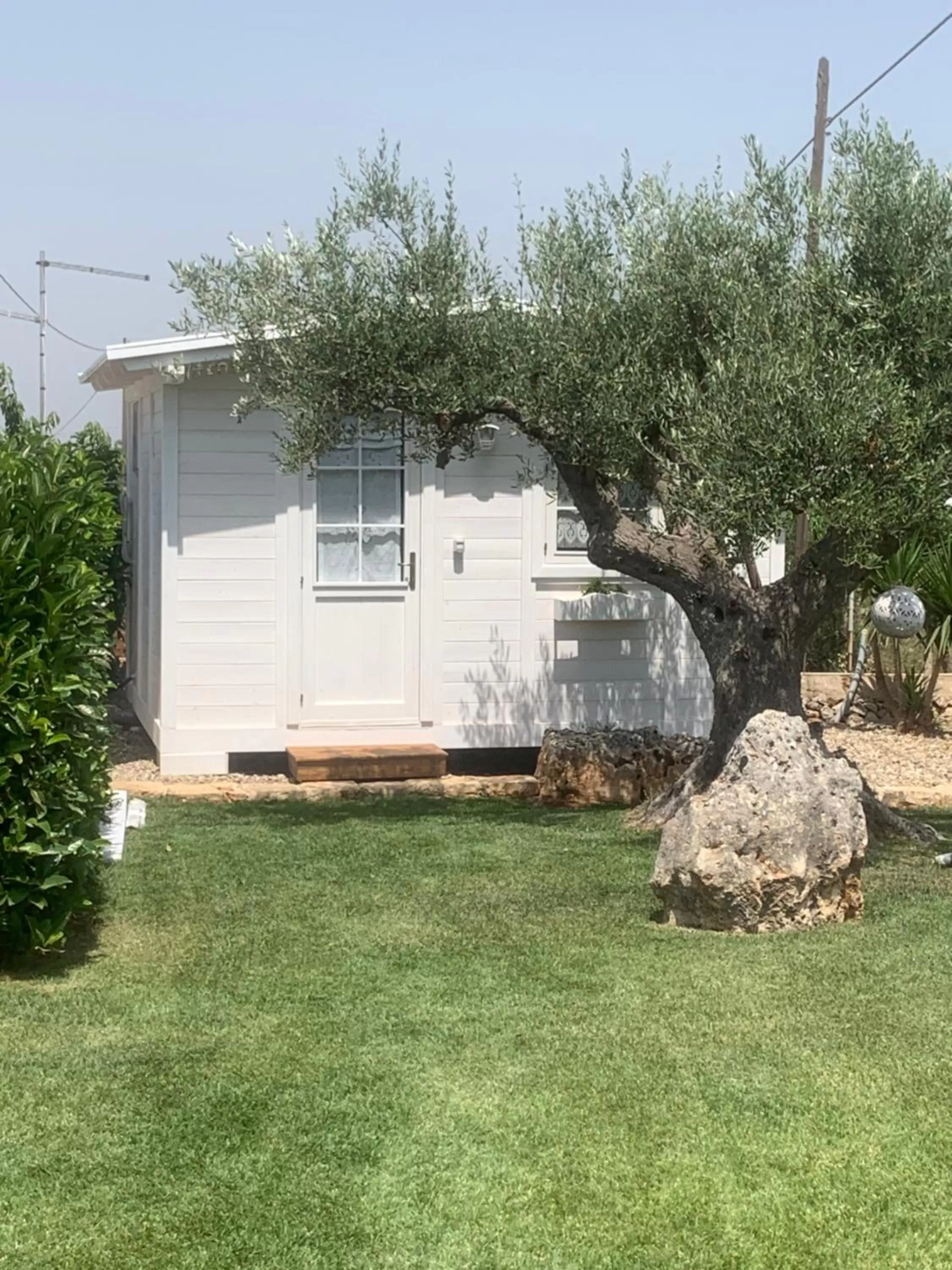 Patio, Garden in B&B Villa Grassi