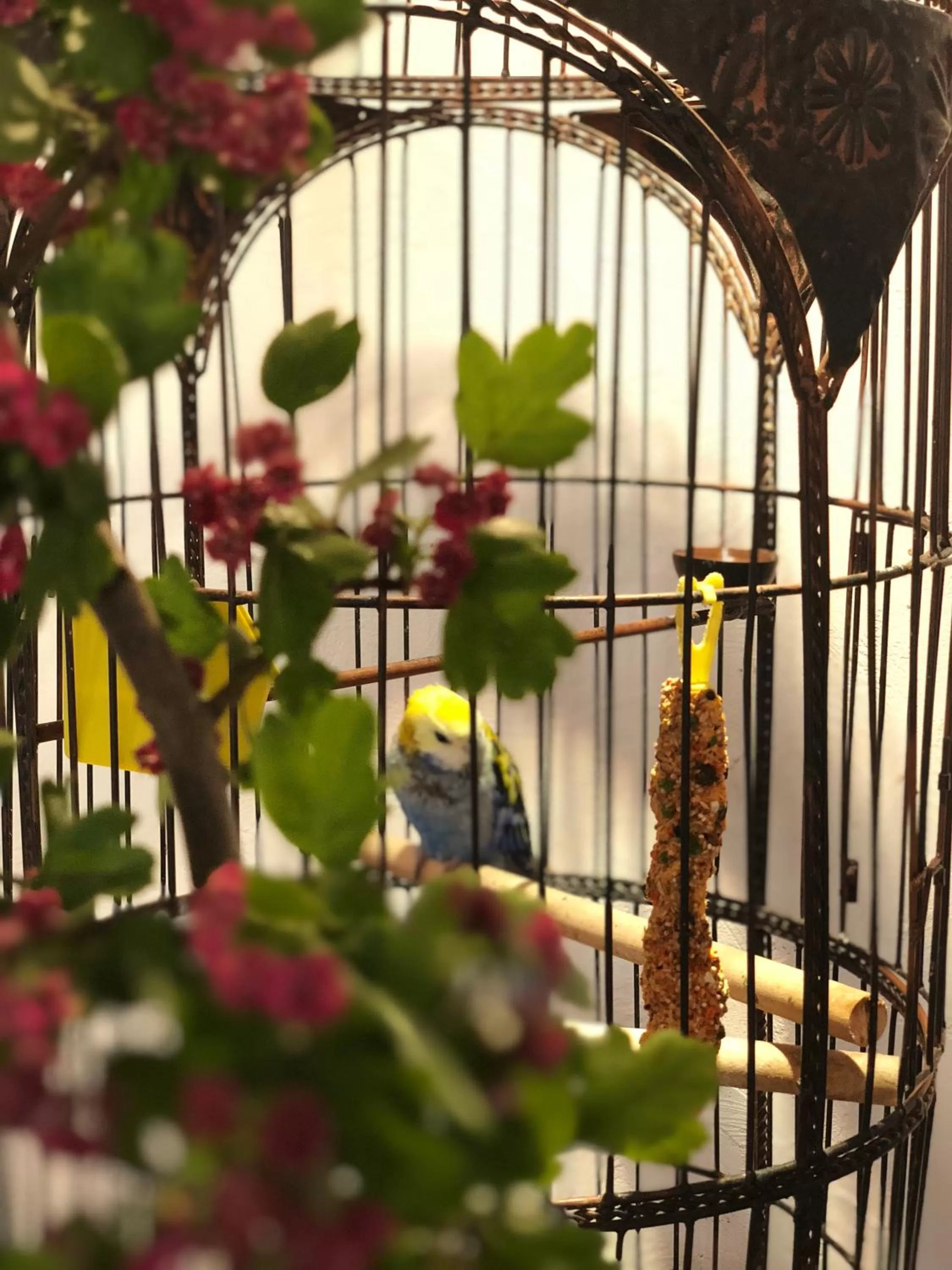 Restauracja Pensjonat Buda