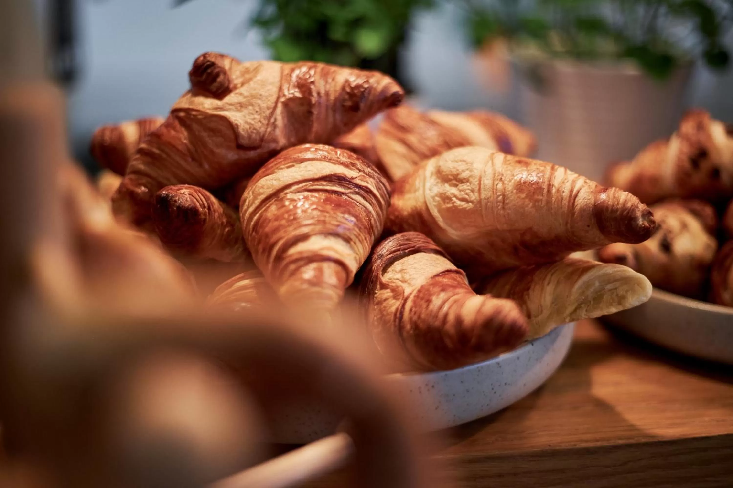 Breakfast in Hotel GIO