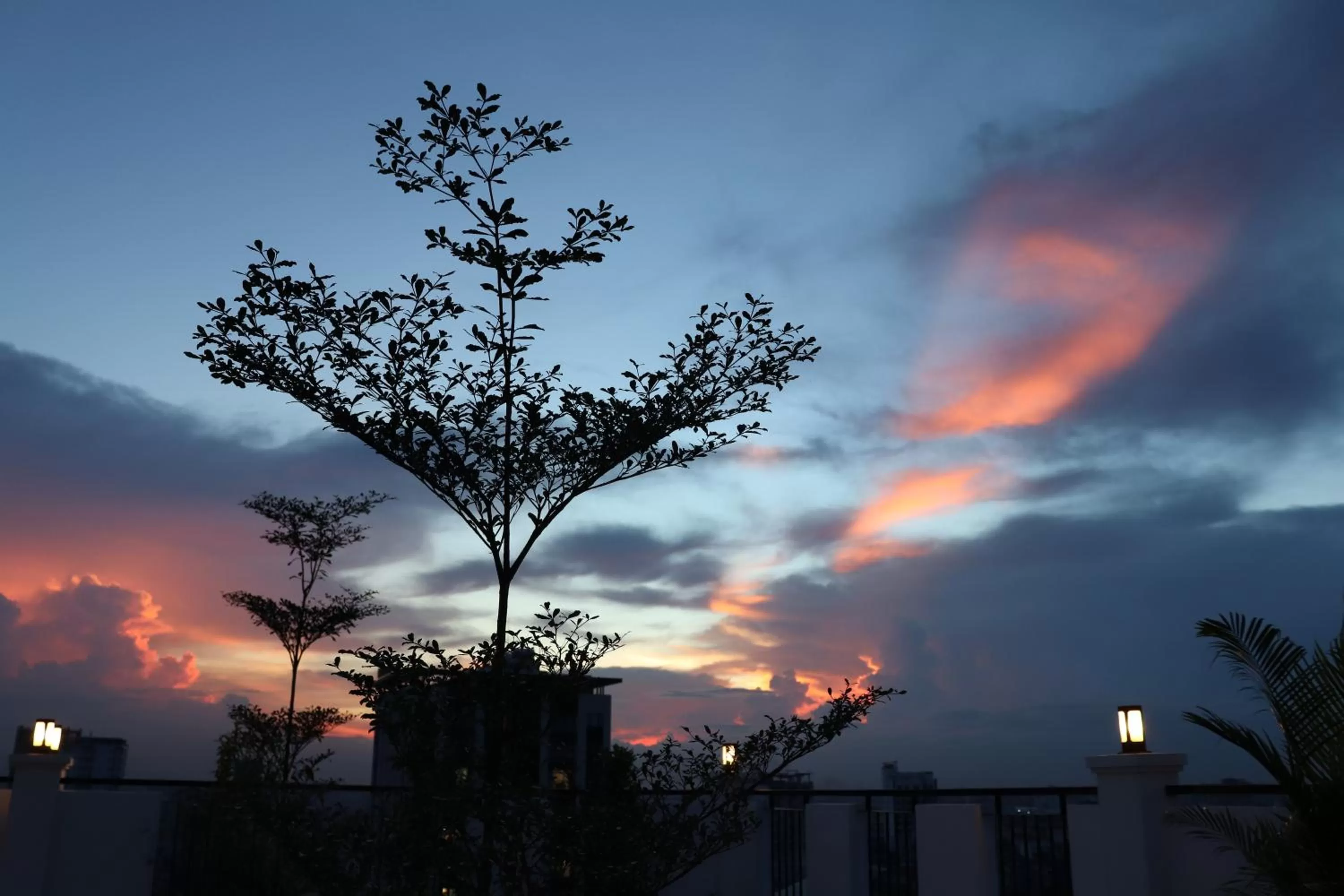 Natural landscape in Sun Apartment