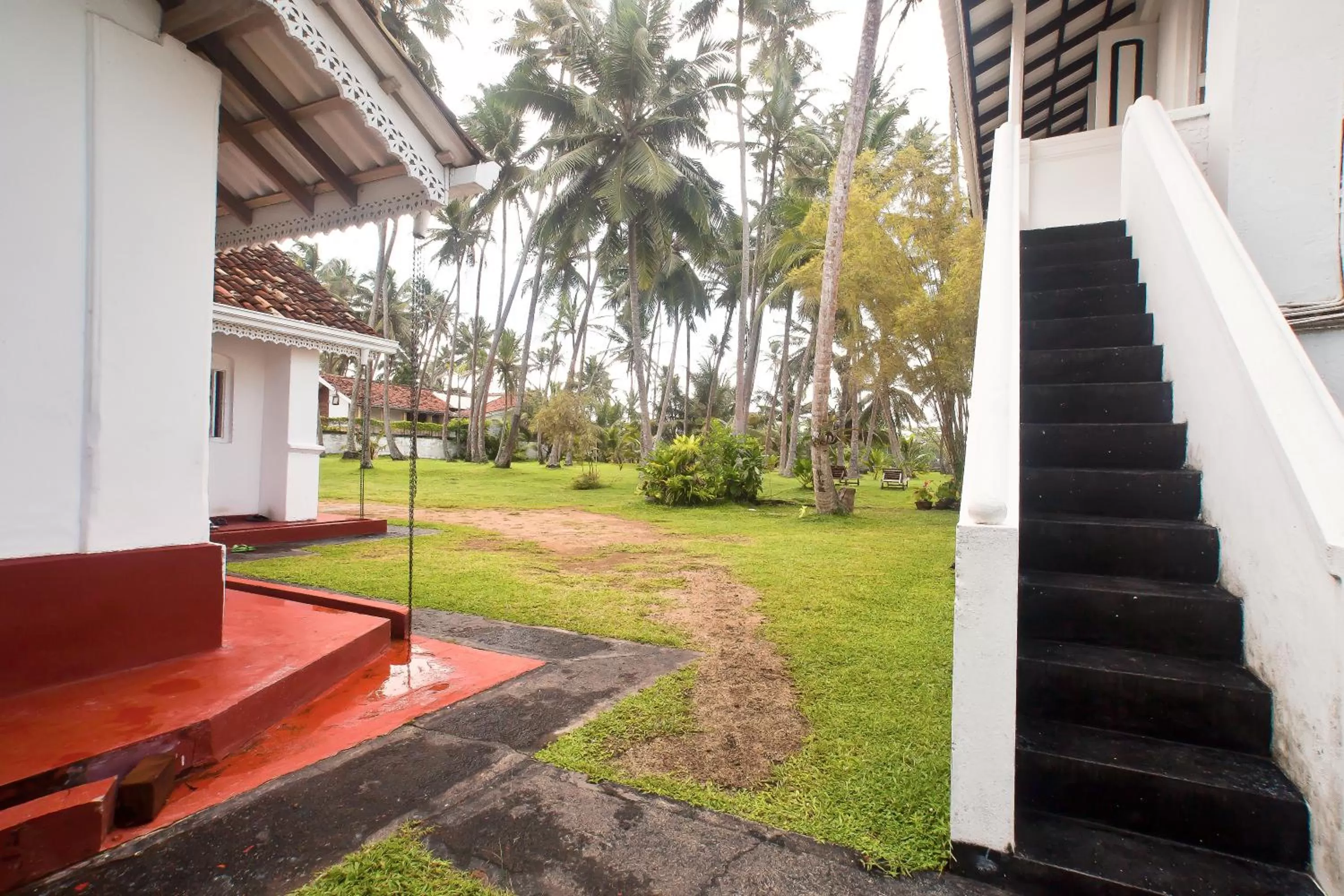 Garden in Chitra Ayurveda