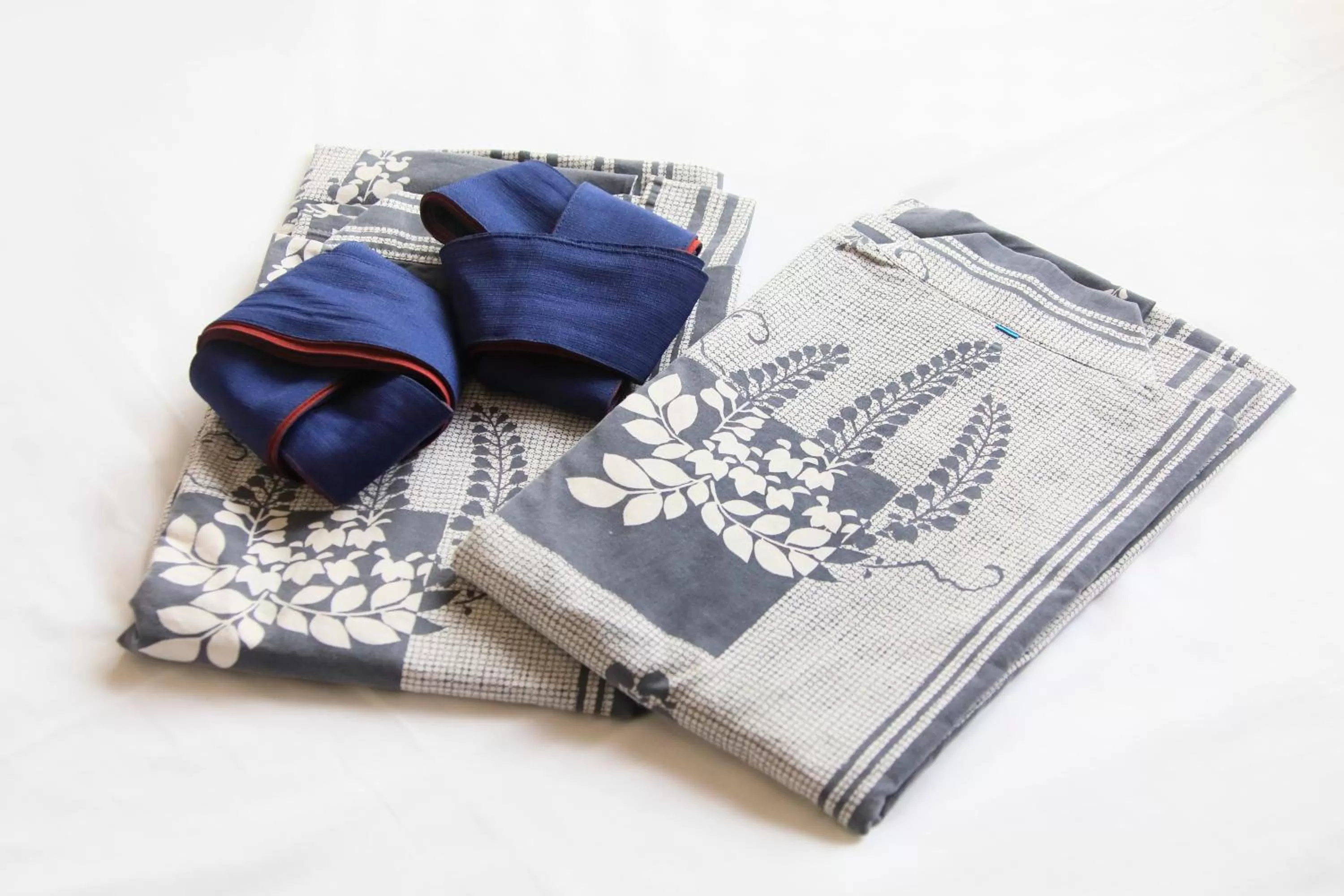 Photo of the whole room in Asakusa Hotel Hatago