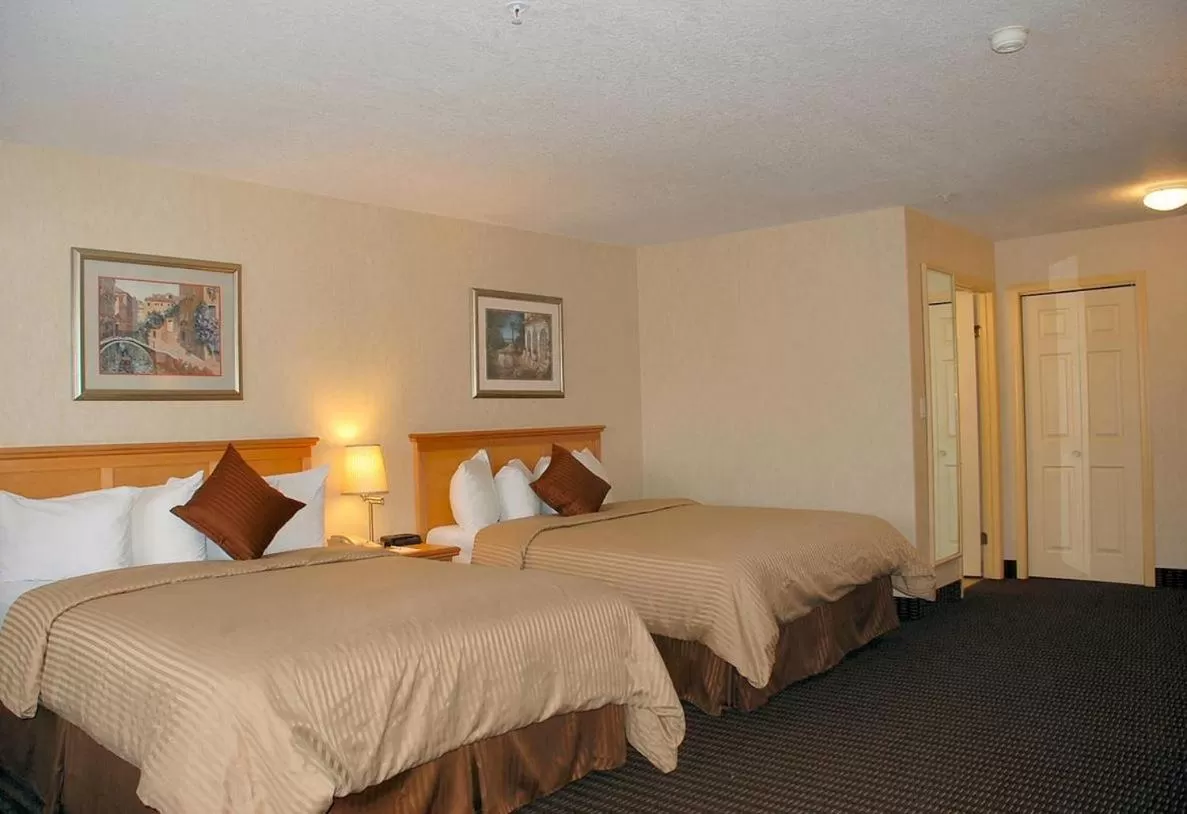 Bedroom, Bed in All Stay Suites