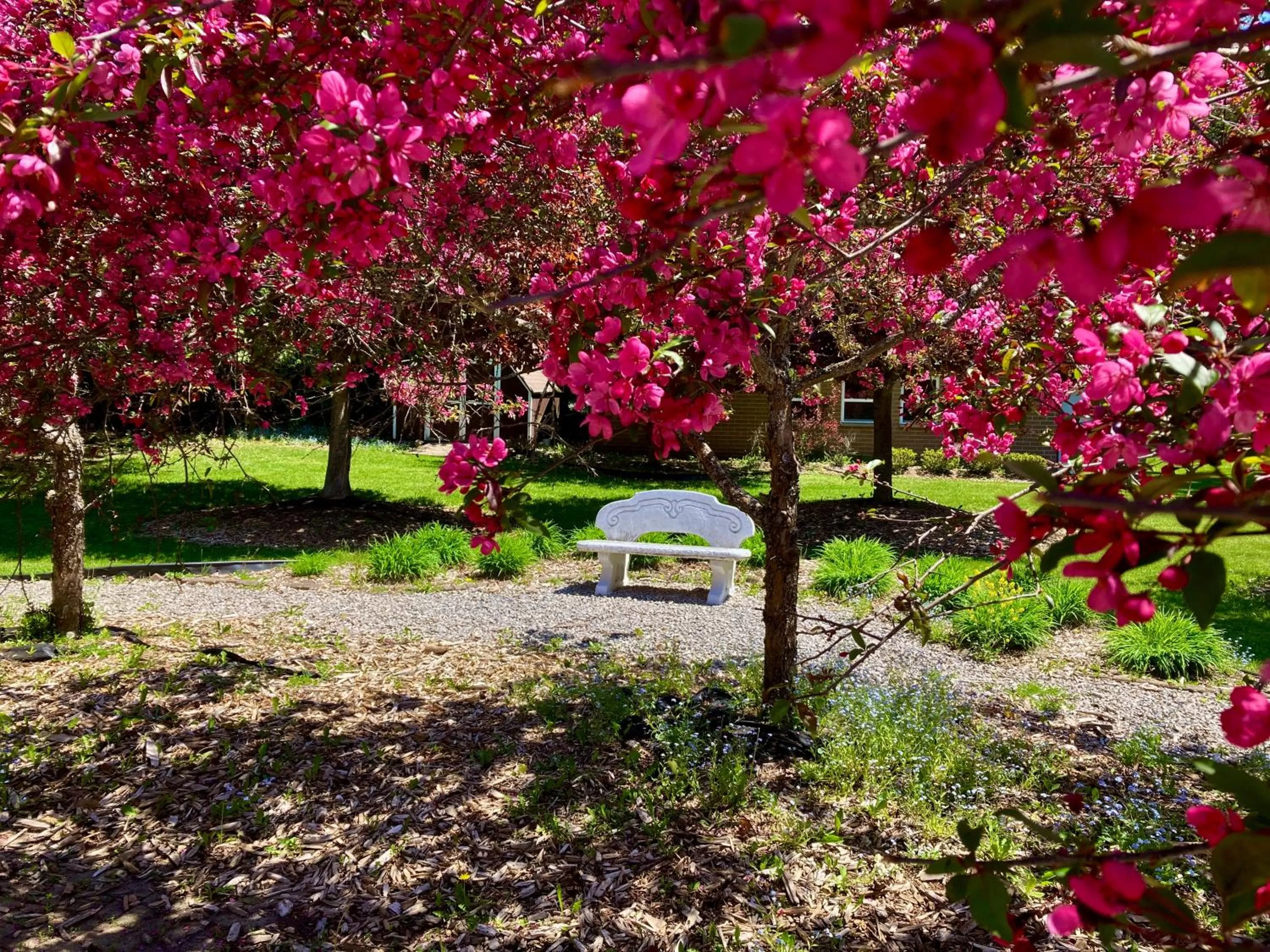 Spring, Garden in Garden Grove Retreat & Lodging near Pictured Rocks, Fayette, Trails