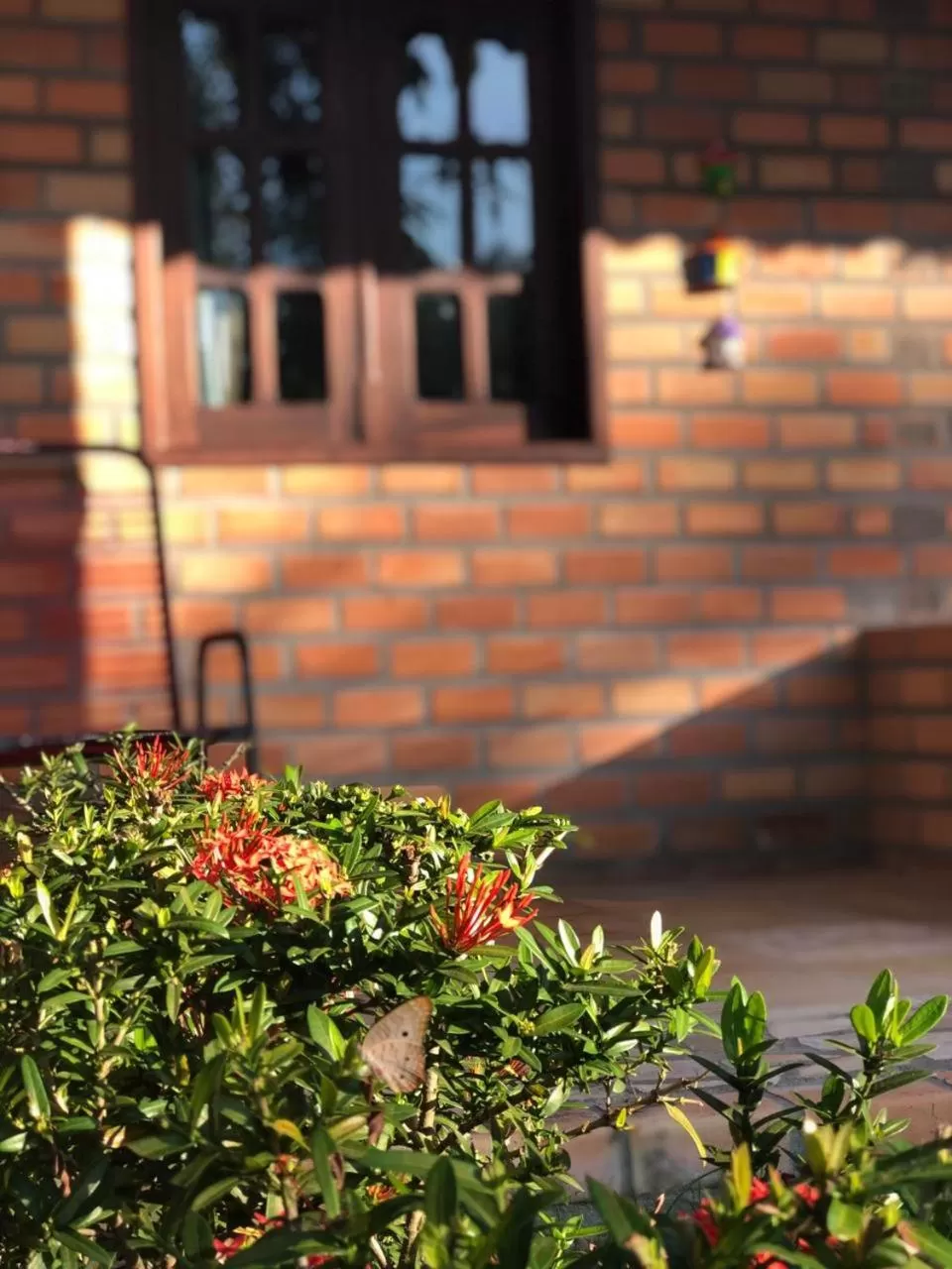 Garden in Pousada do Riacho