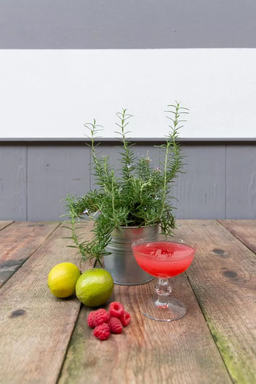 Drinks in Hotel Blu di Te