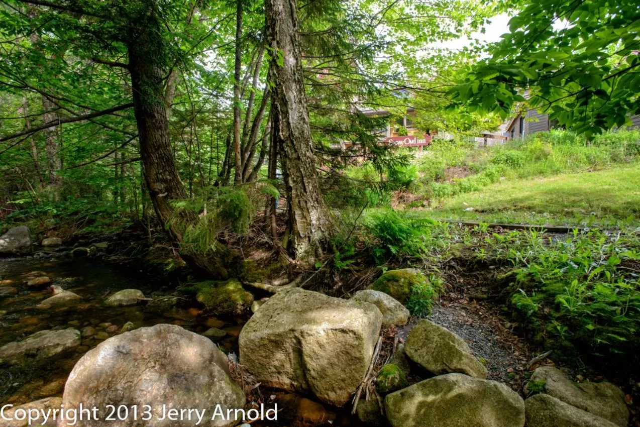 Natural landscape in Snowy Owl Inn