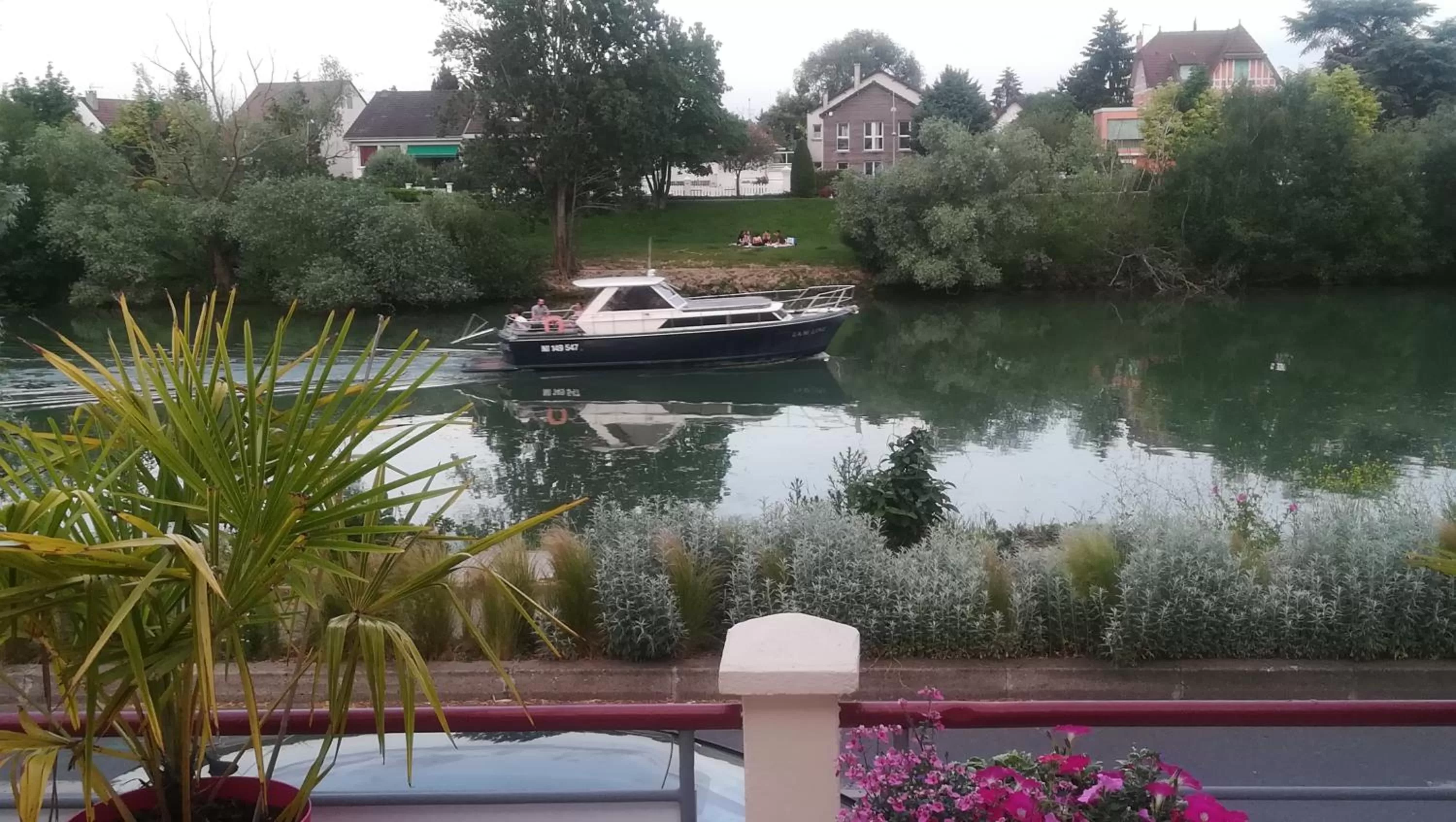 LES PINGOUINS DE LA MARNE