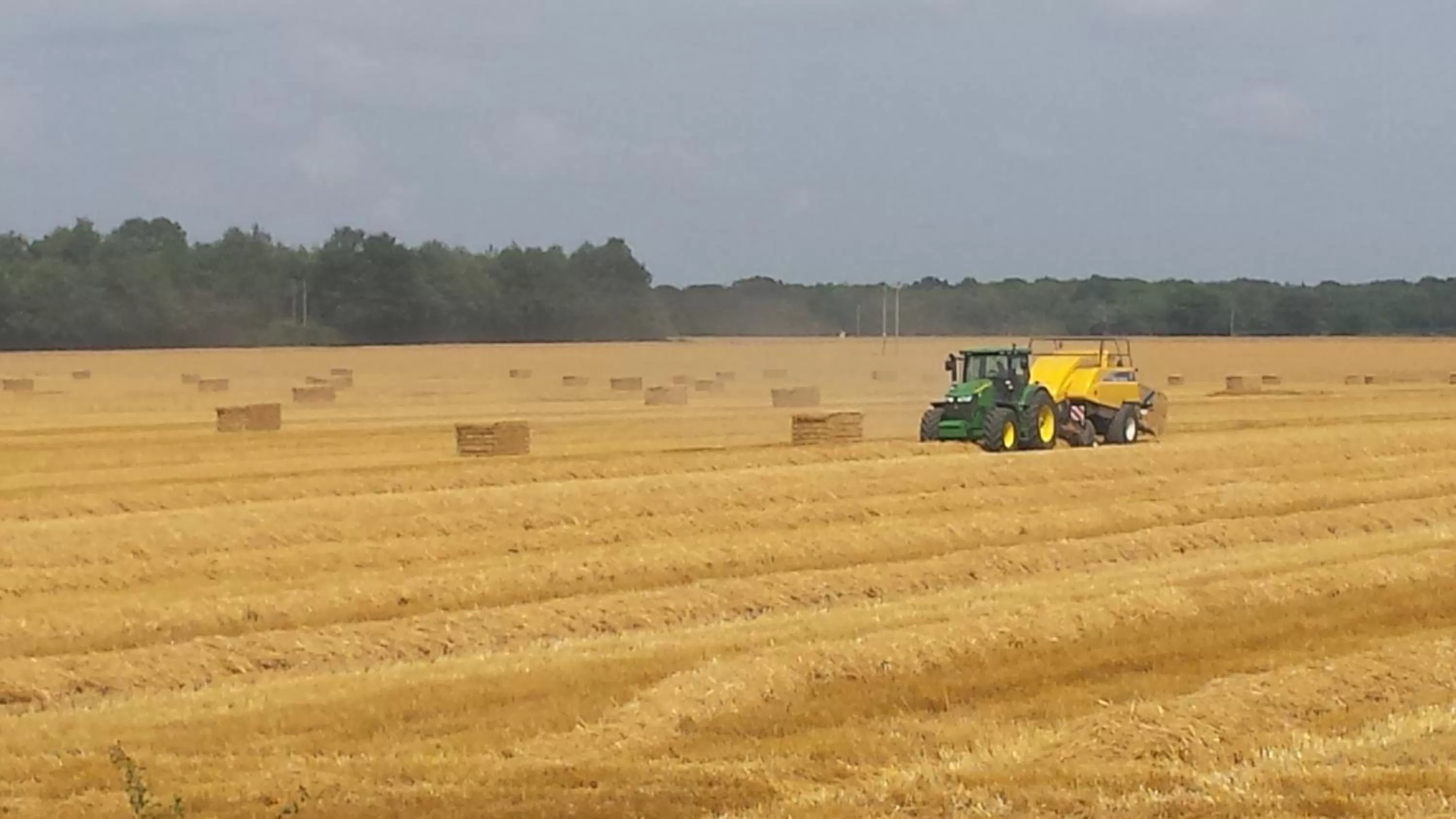 View (from property/room) in Chimneys B&B