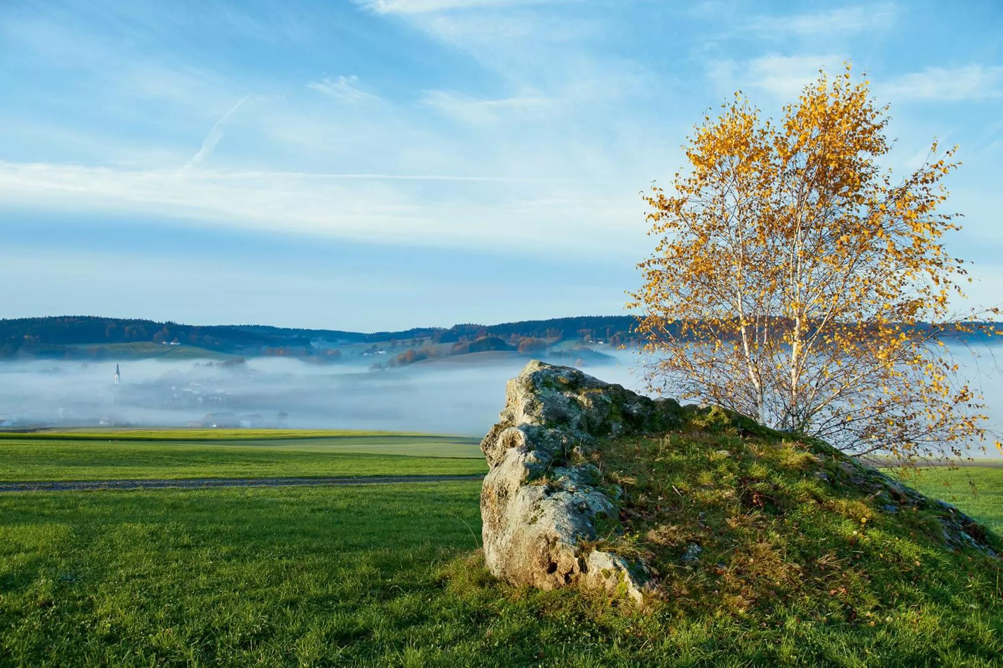 Natural landscape in Best Western Aparthotel Birnbachhöhe