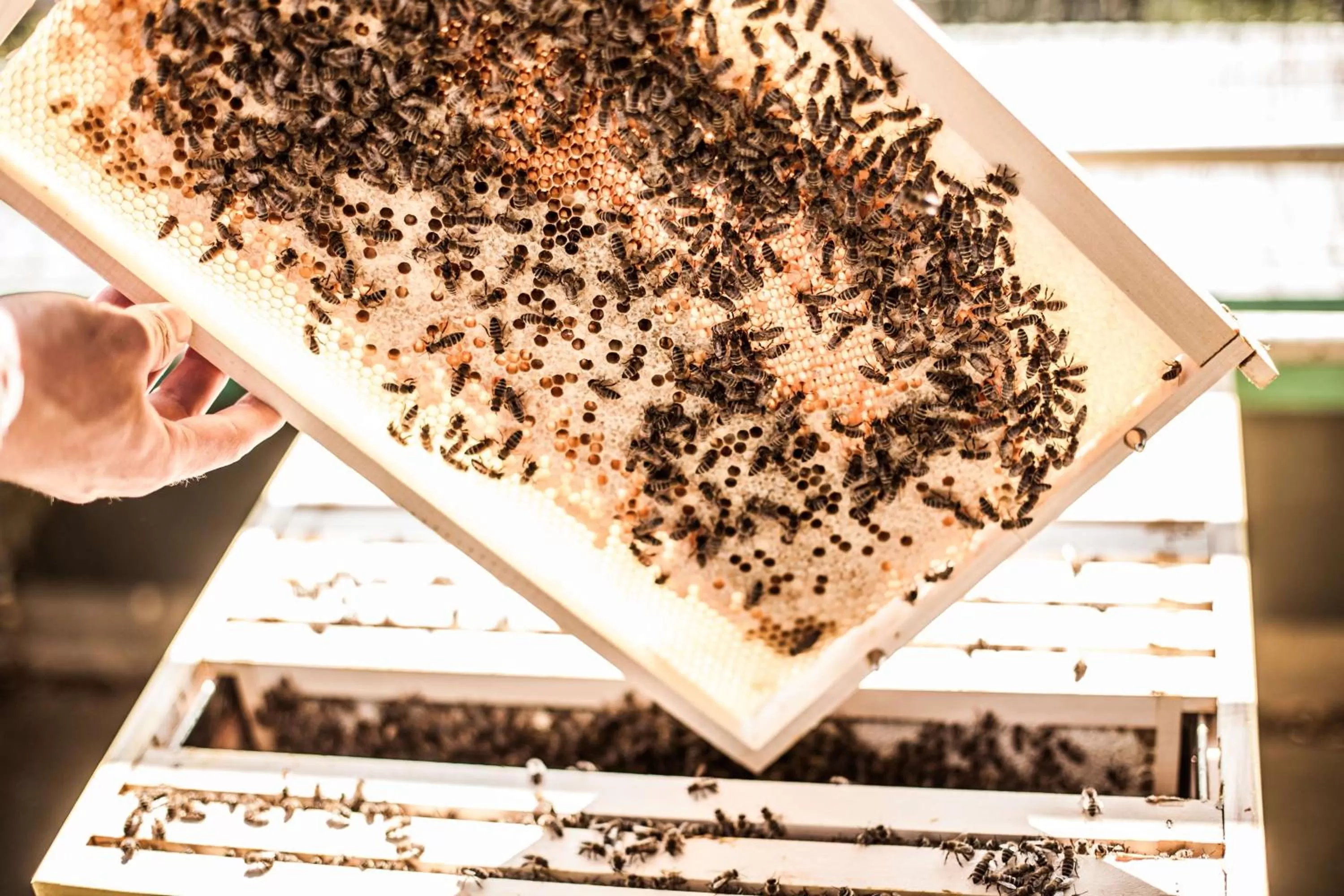 On site in ATLANTIC Hotel Airport