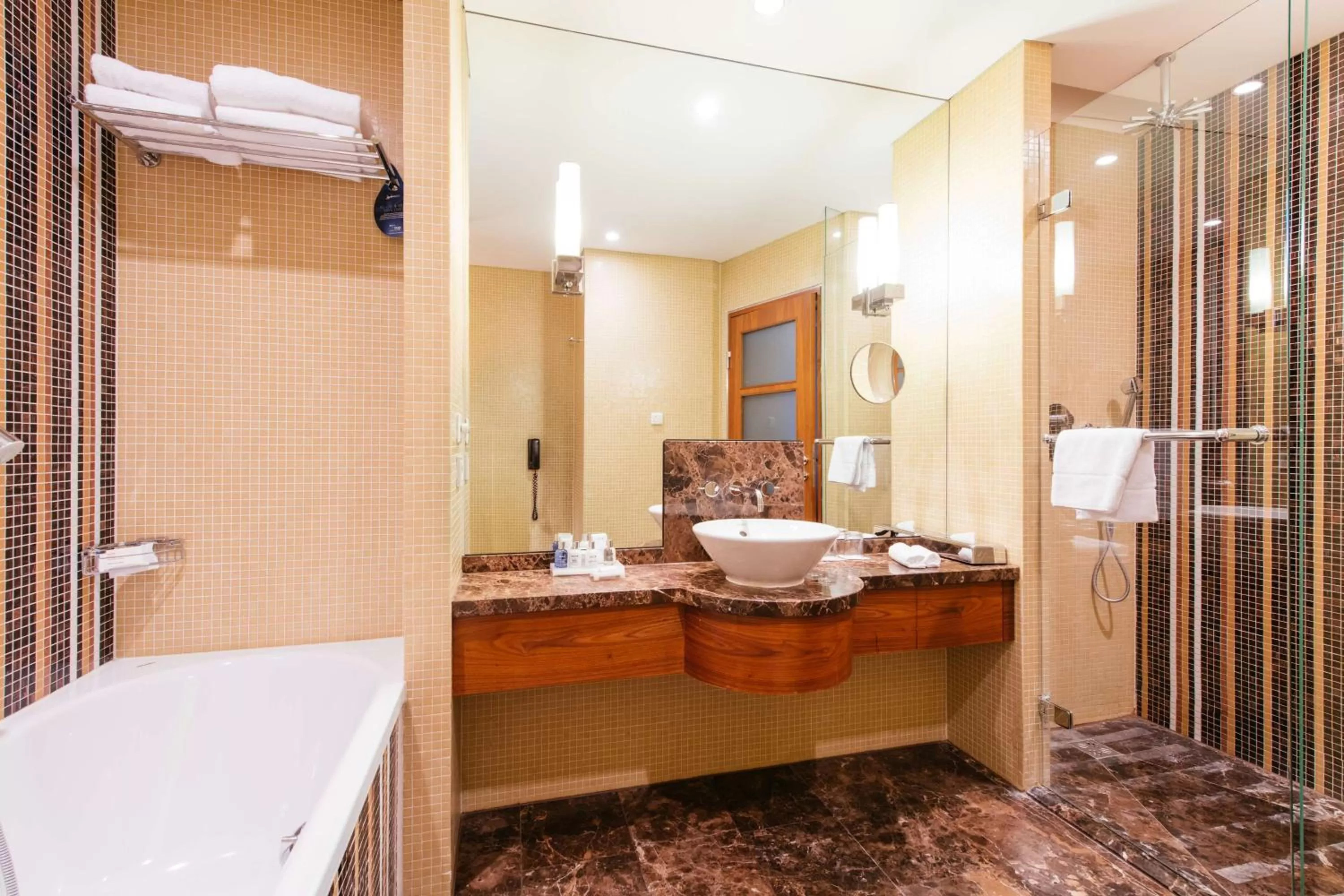 Shower in Radisson Blu Style Hotel, Vienna