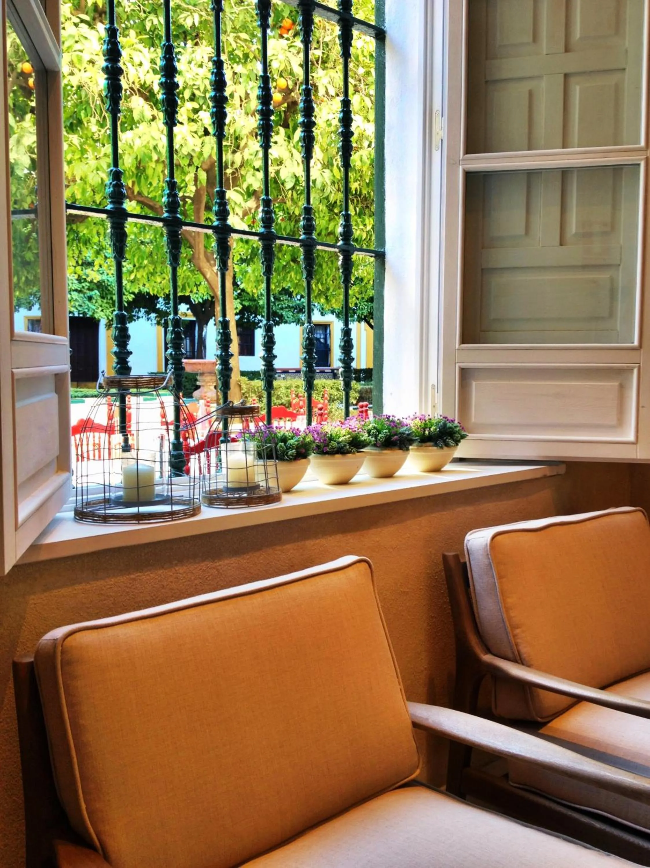 Other in Hotel Boutique Elvira Plaza