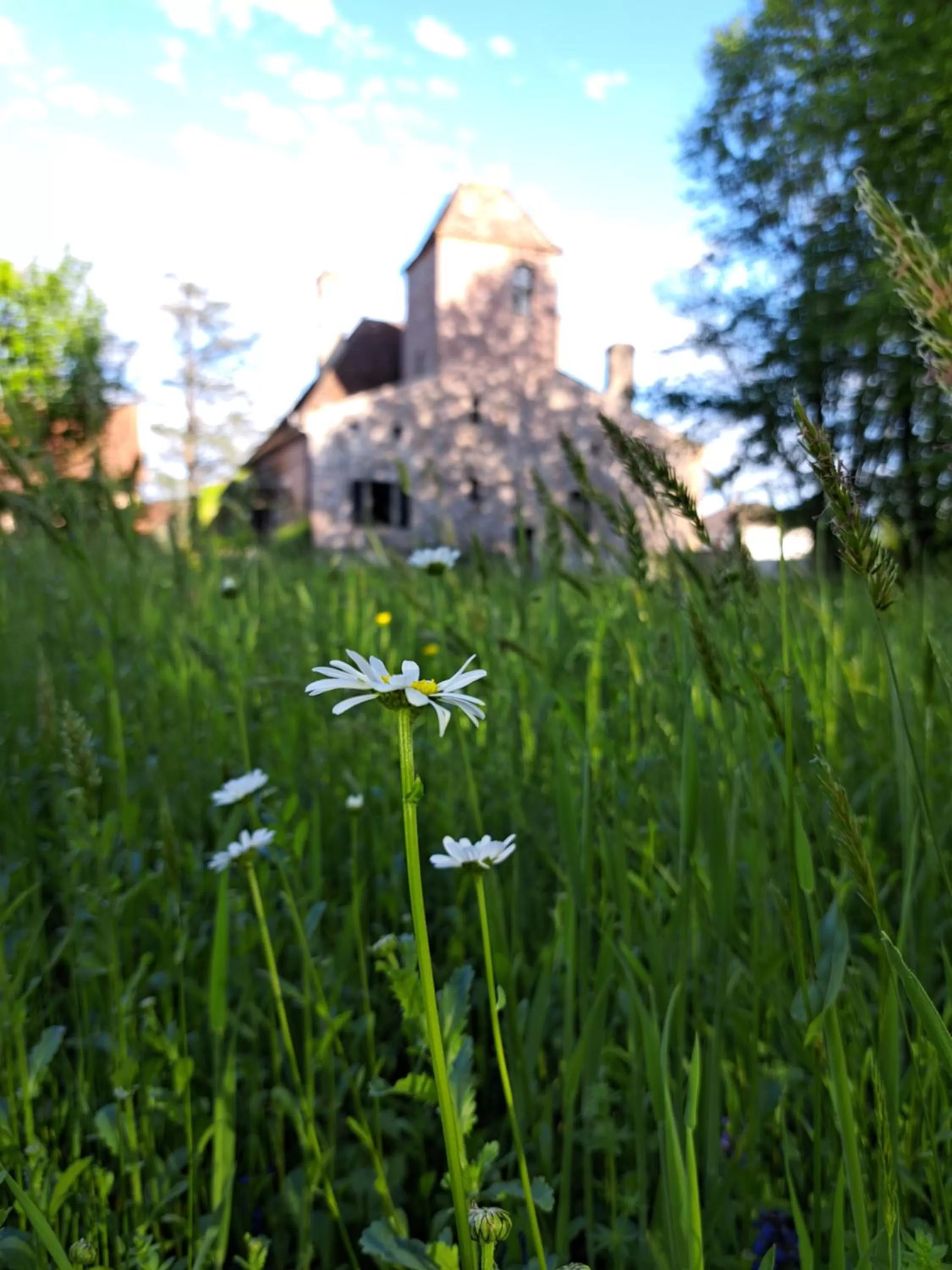 Property building in chambre d'hôtes Madame