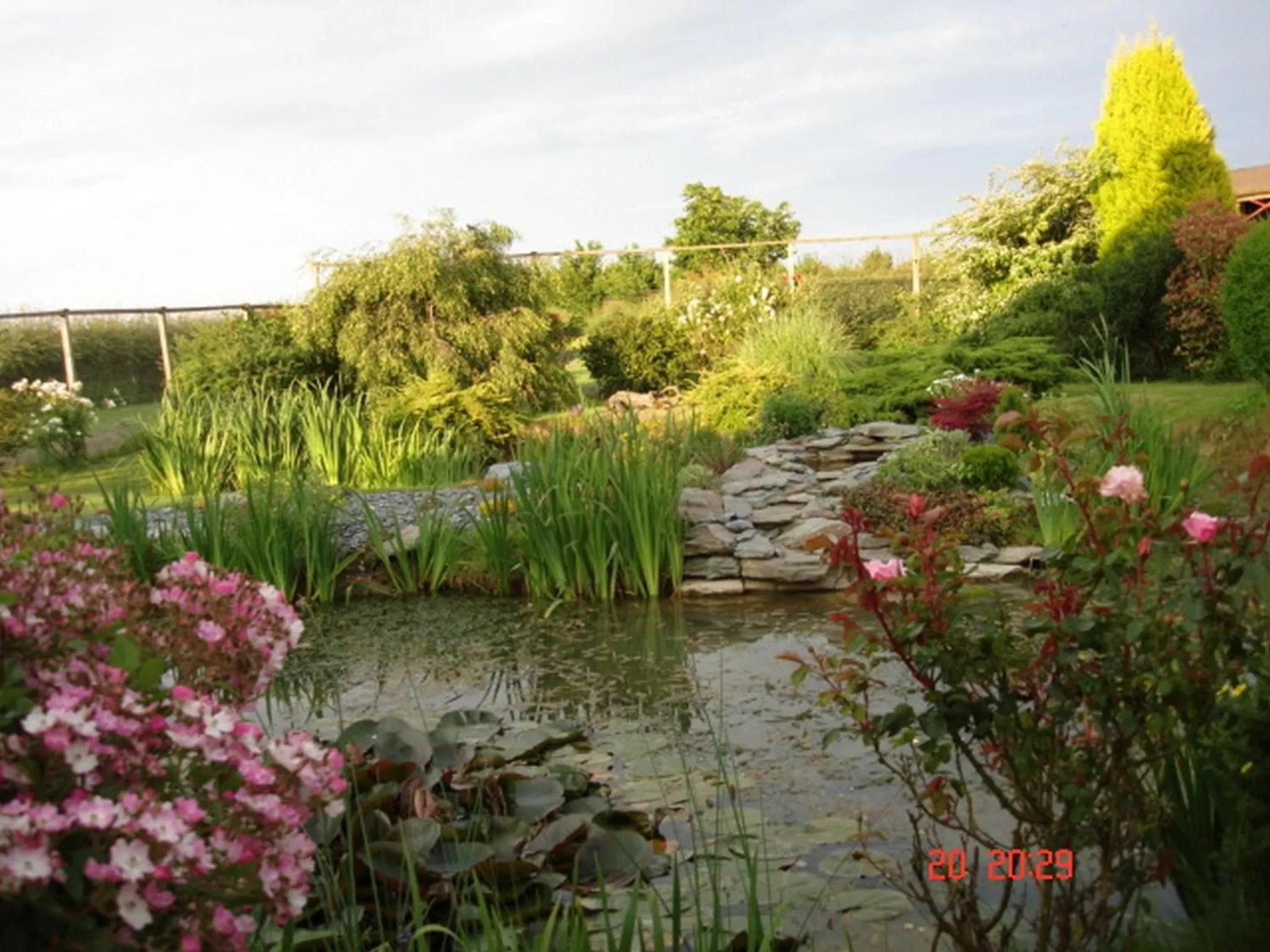 Garden in Pointers Guest House