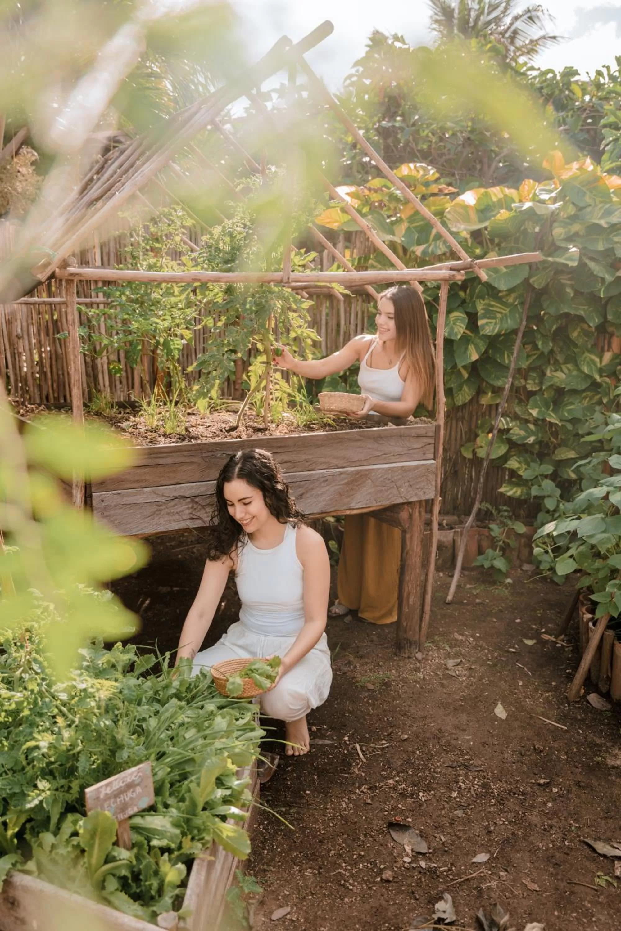 Garden in Petit Lafitte Beach Front Hotel & Bungalows