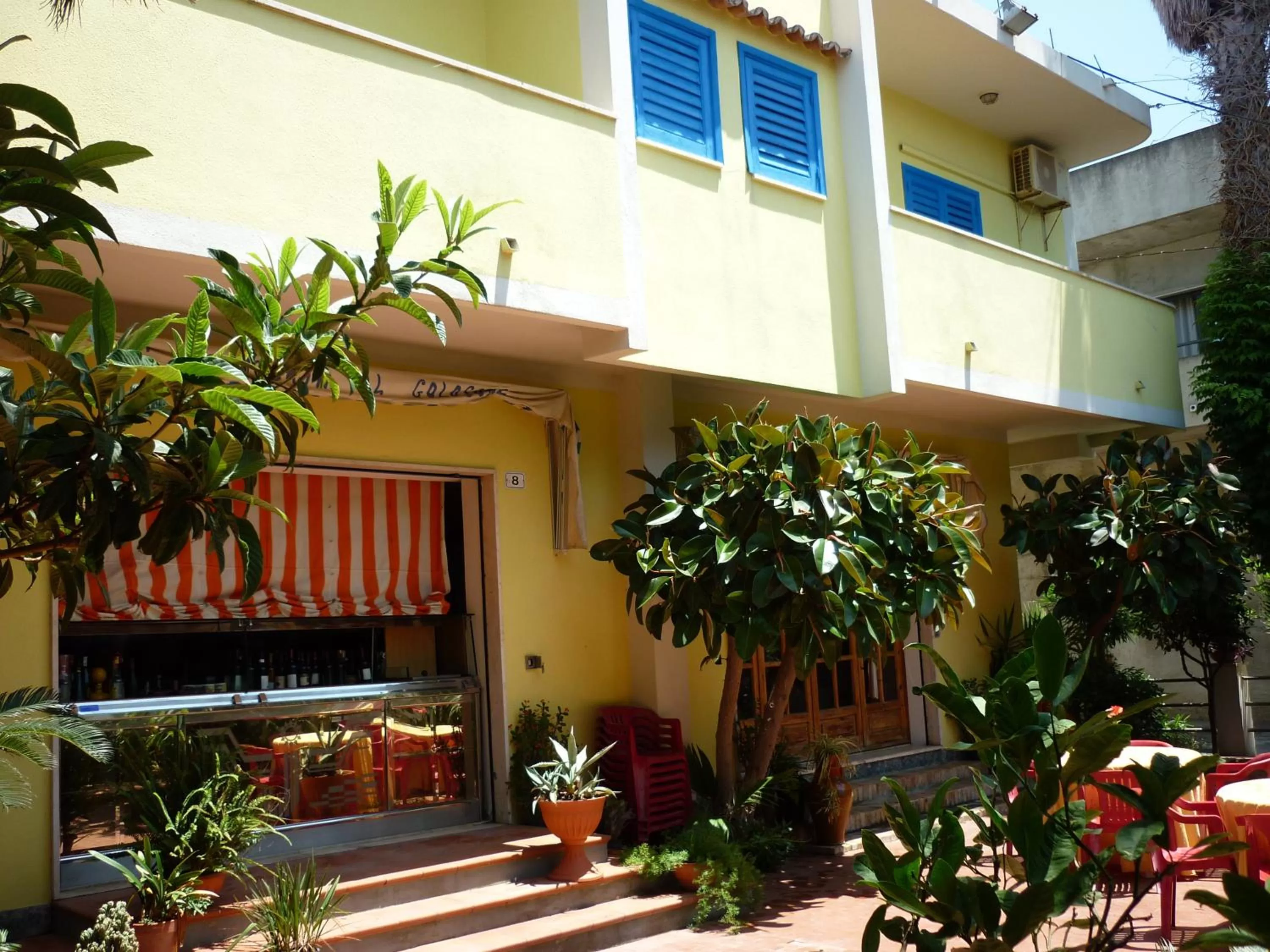 Garden in Hotel Alexander