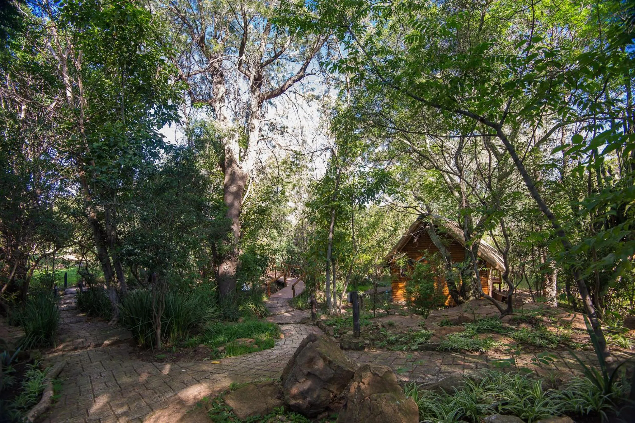 Garden in Amadwala Lodge