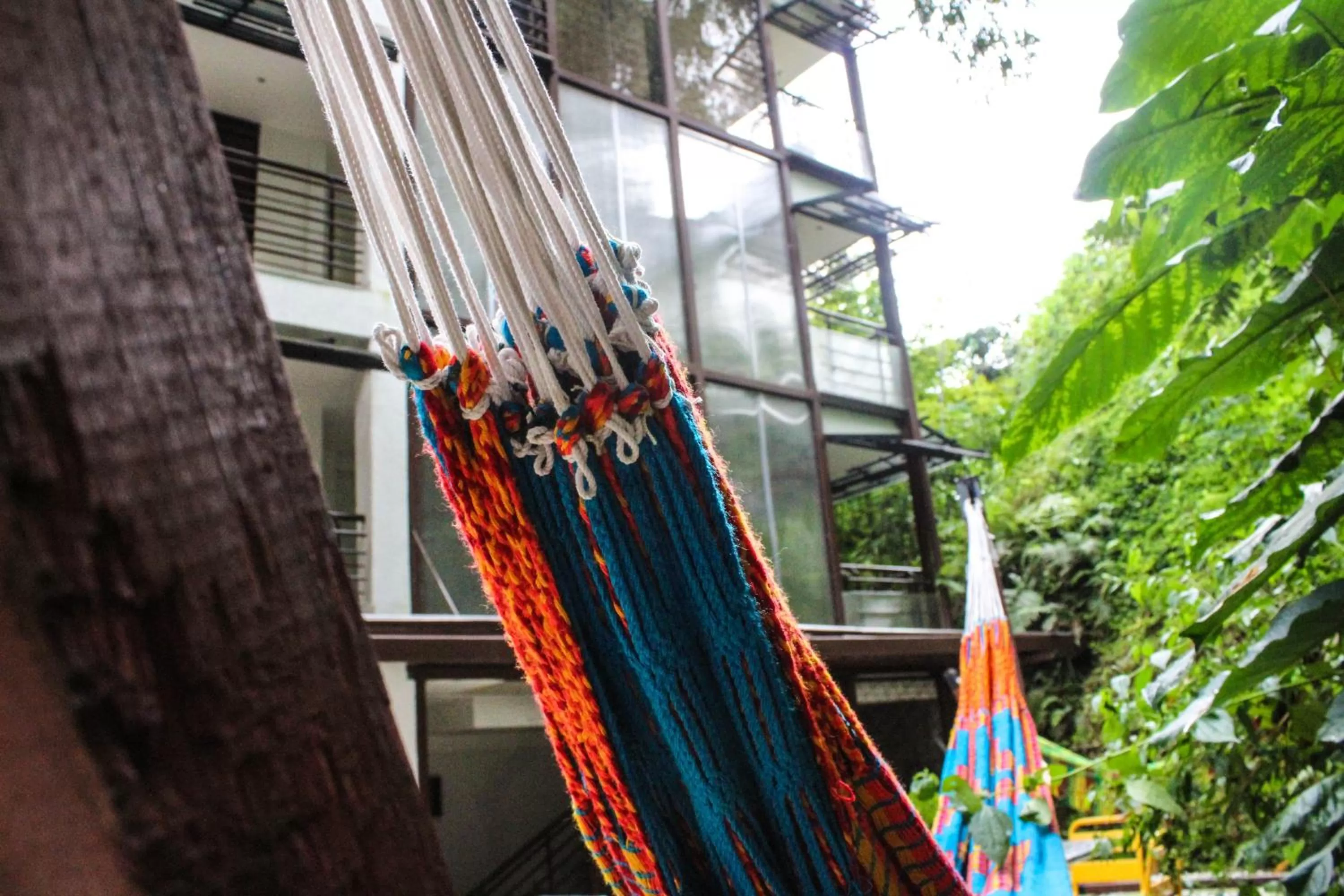 Balcony/Terrace in Hotel Bambu Inn